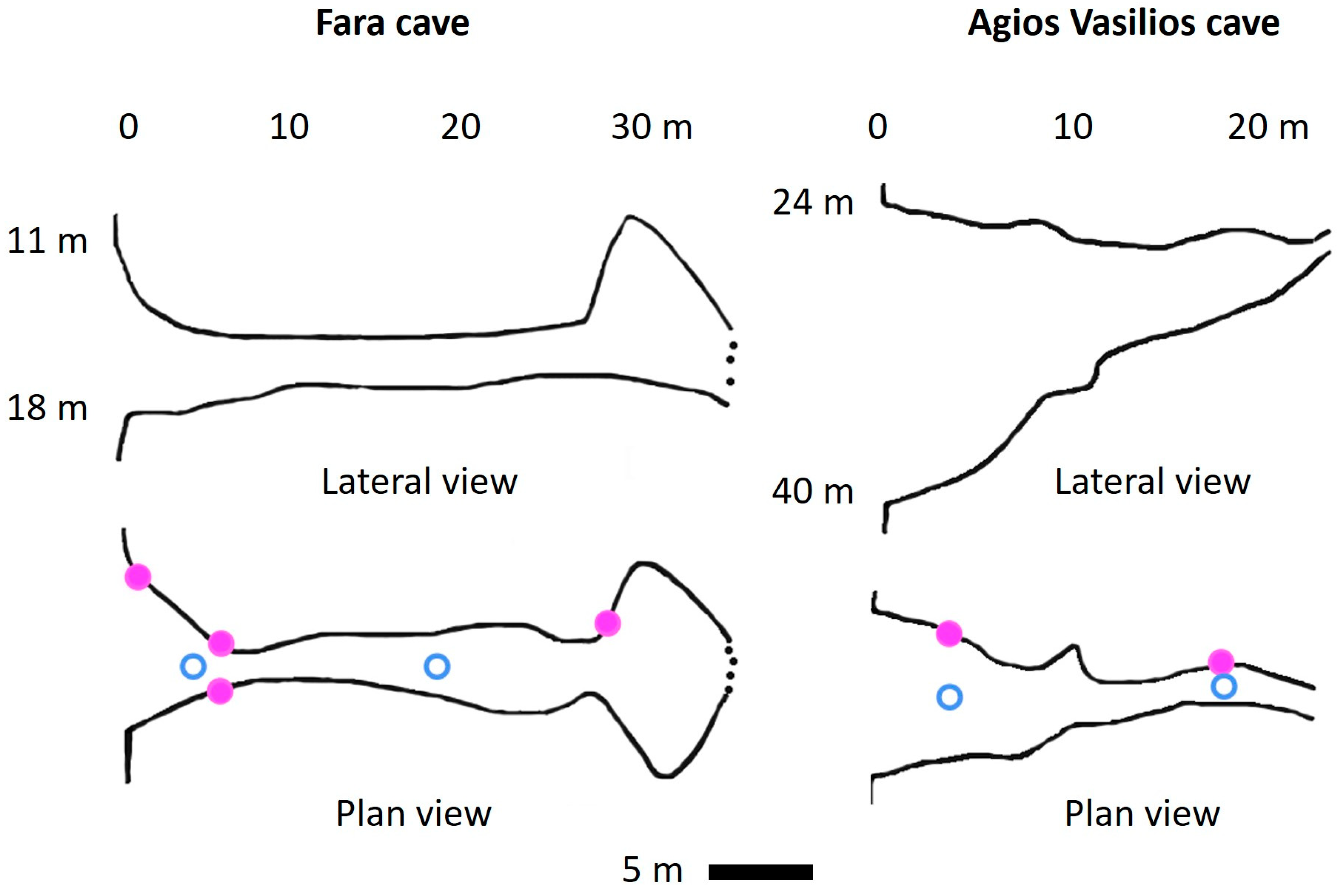 Diversity 15 01180 g002 Diversity 15 01180 g002