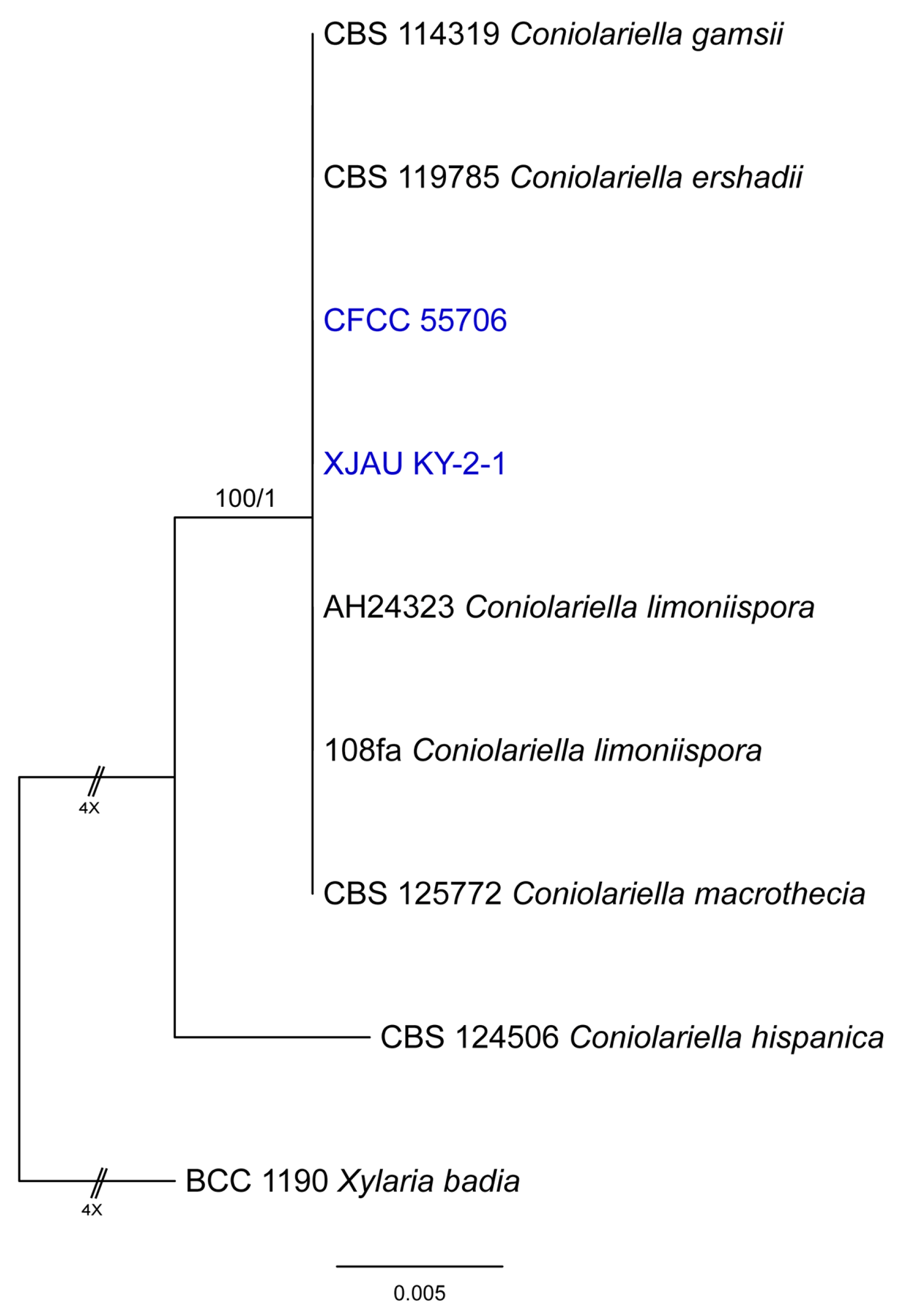 Diversity 15 01190 g001