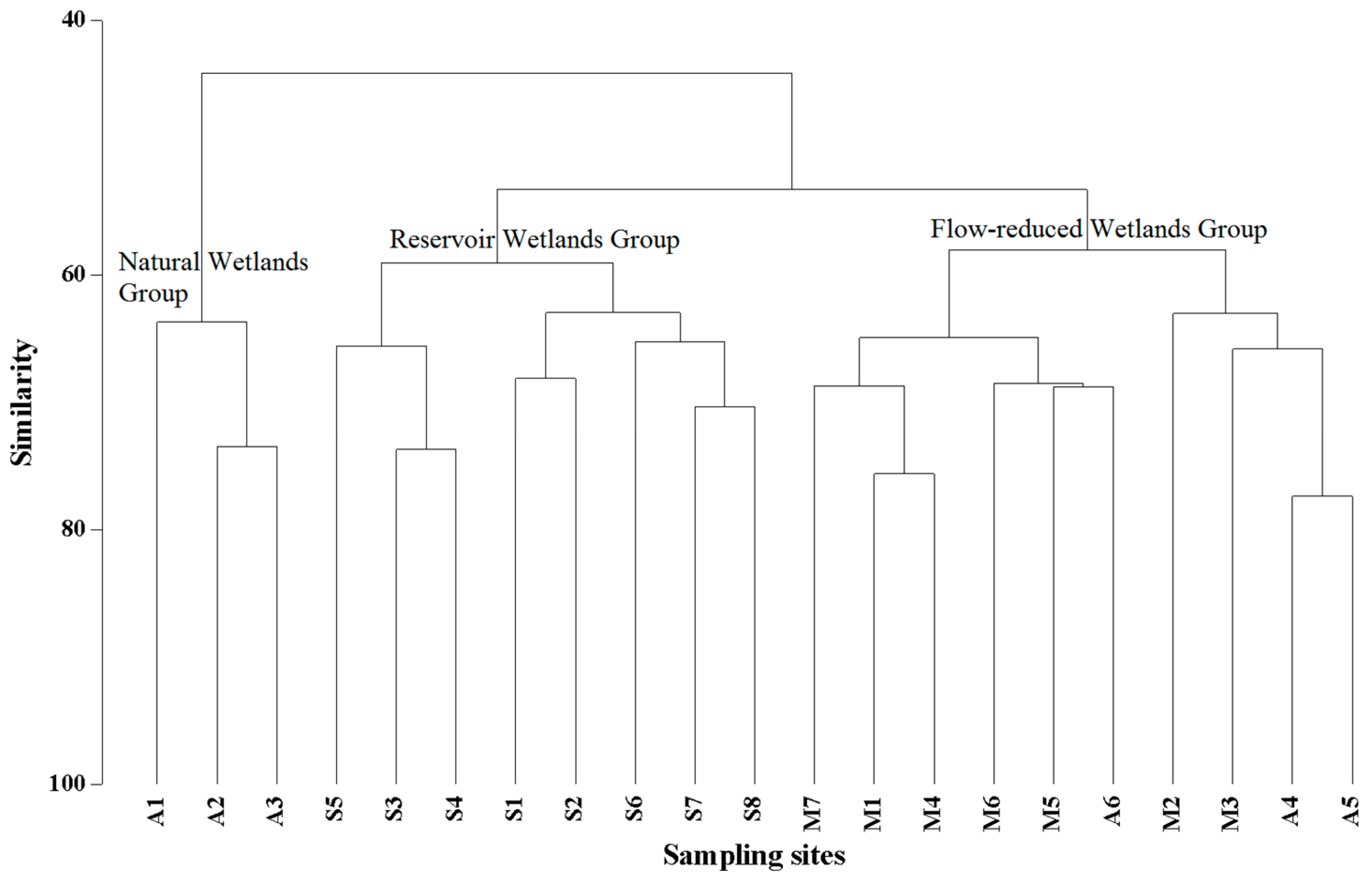 Diversity 15 01191 g003