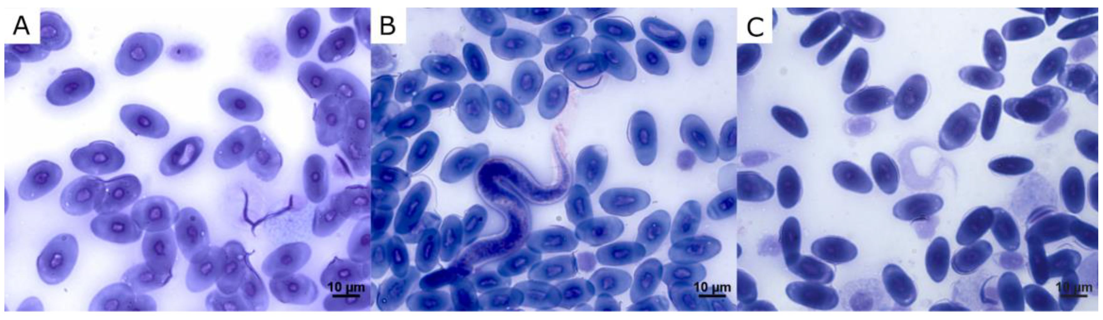 Diversity 15 01192 g002