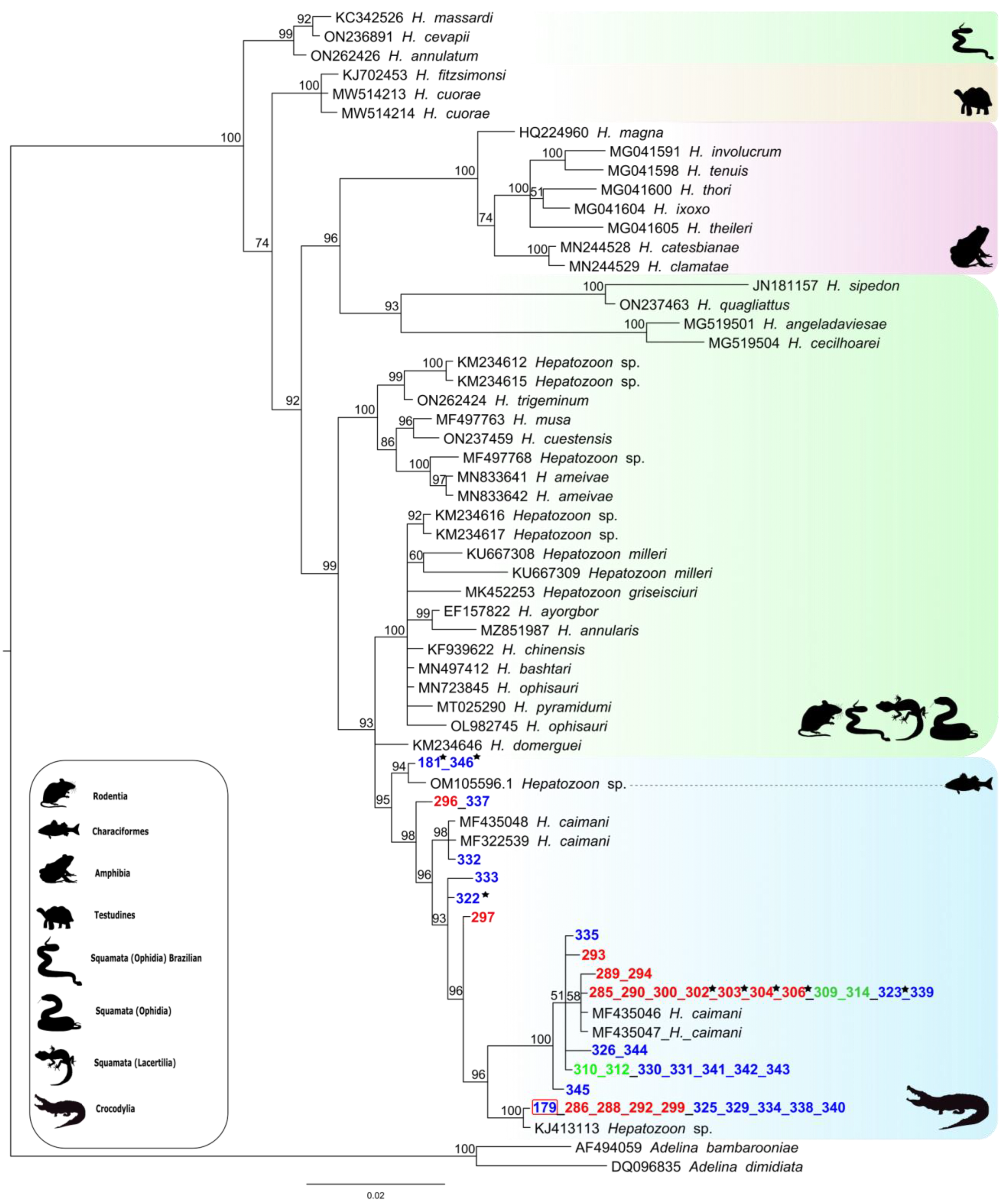 Diversity 15 01192 g004