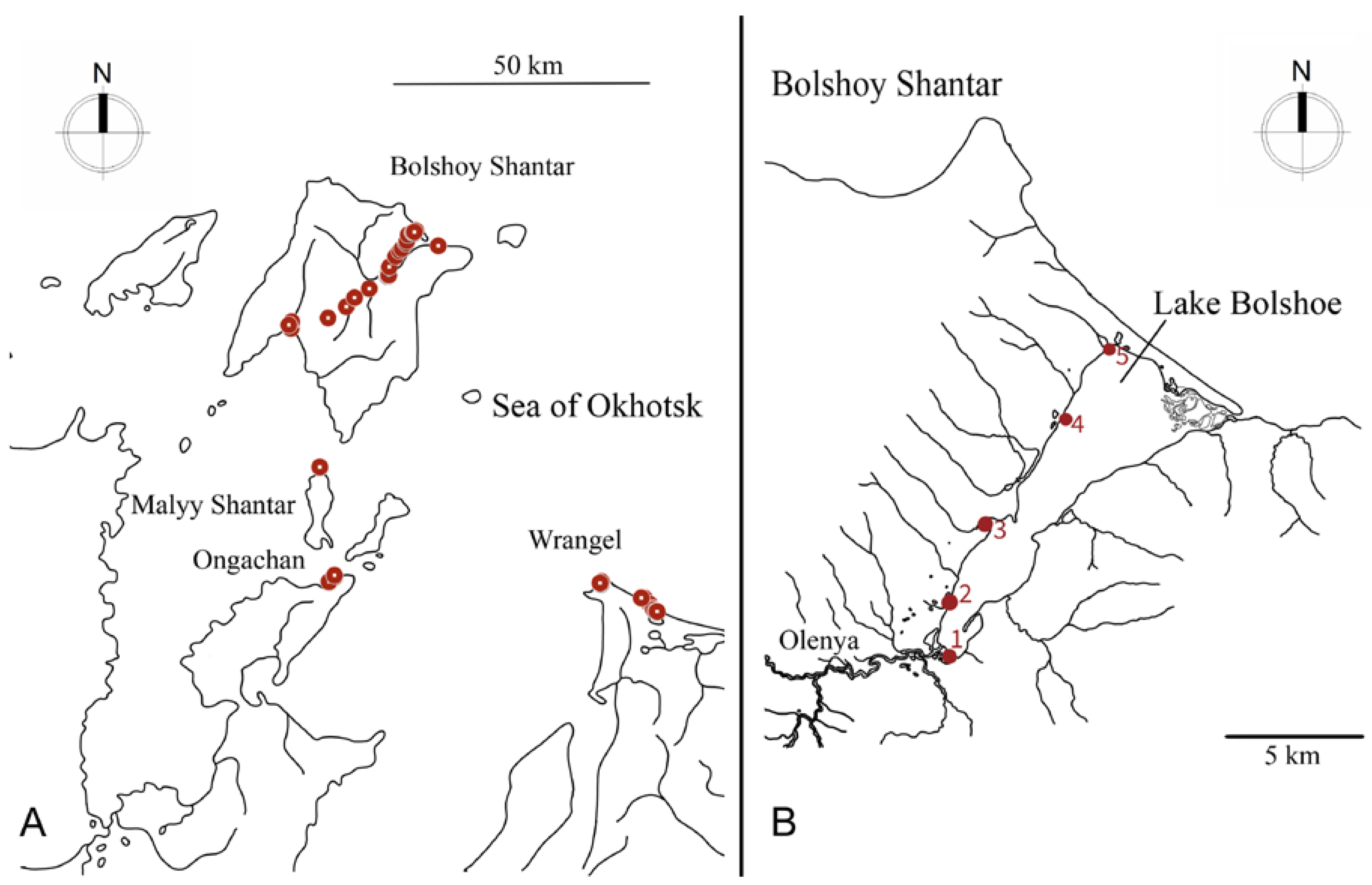 Diversity 15 01198 g001 Diversity 15 01198 g001