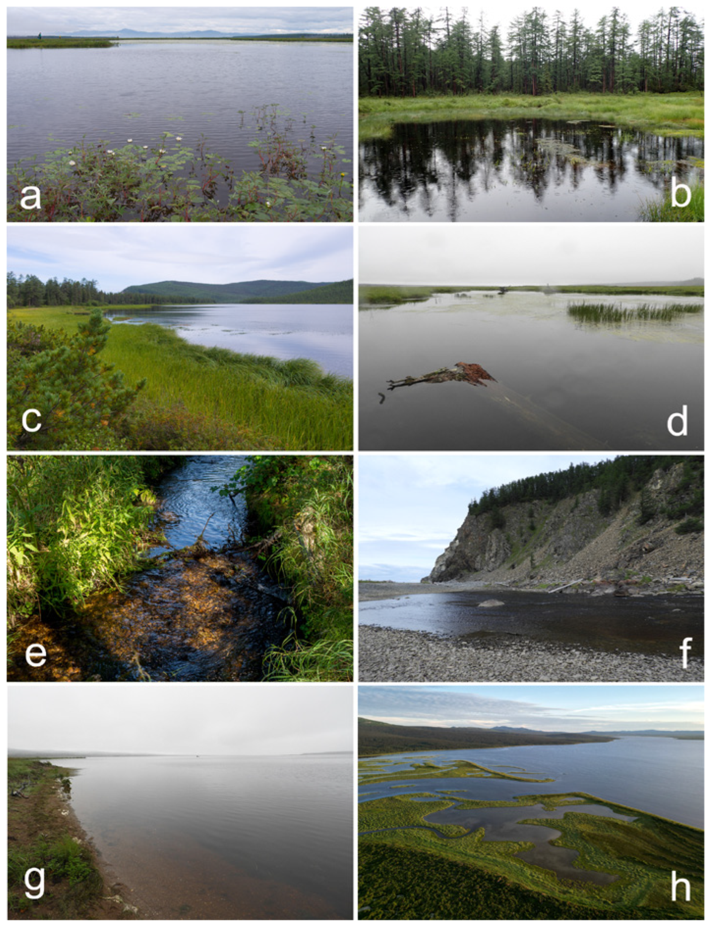 Diversity 15 01198 g002 Diversity 15 01198 g002