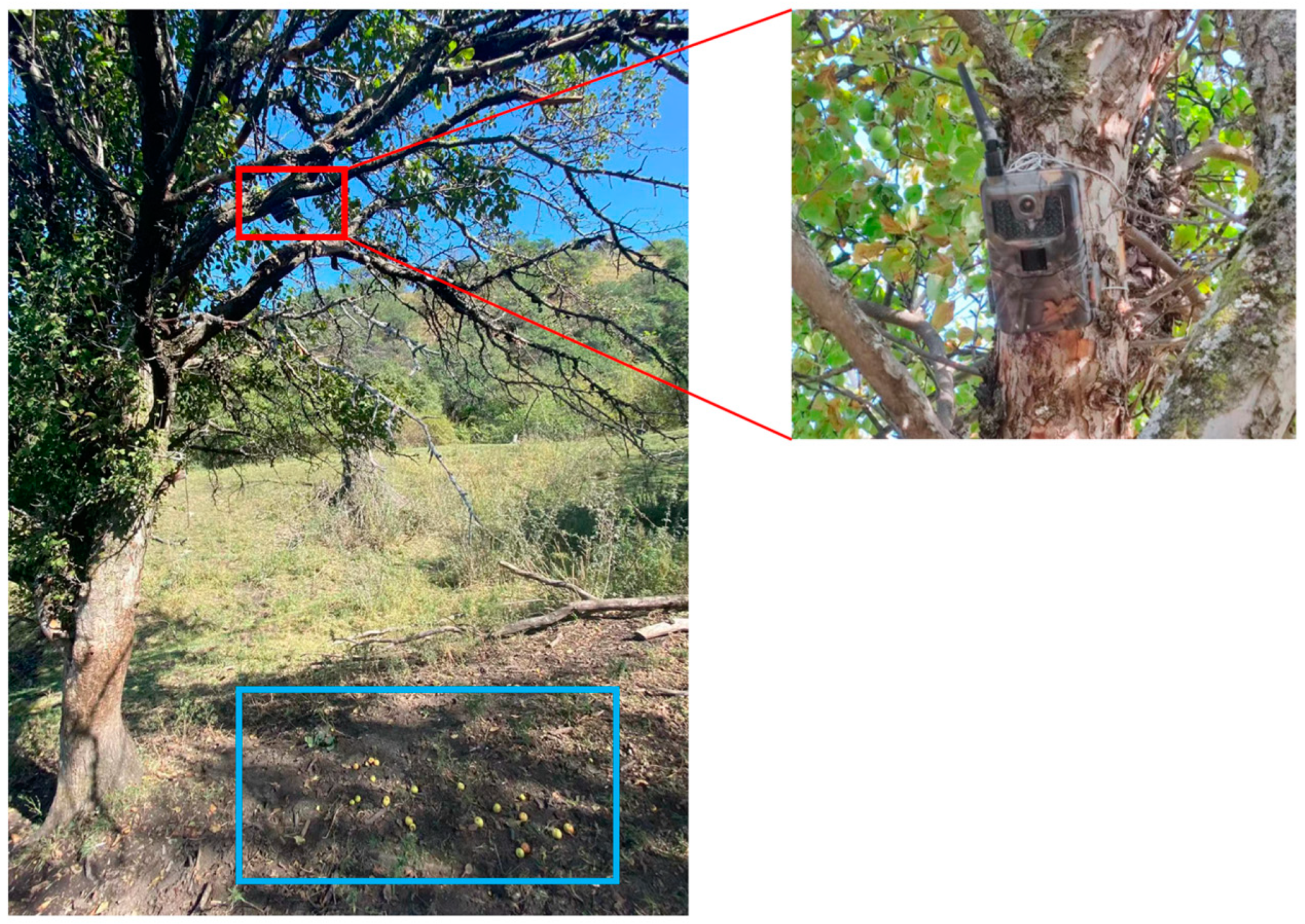 Diversity 15 01205 g002