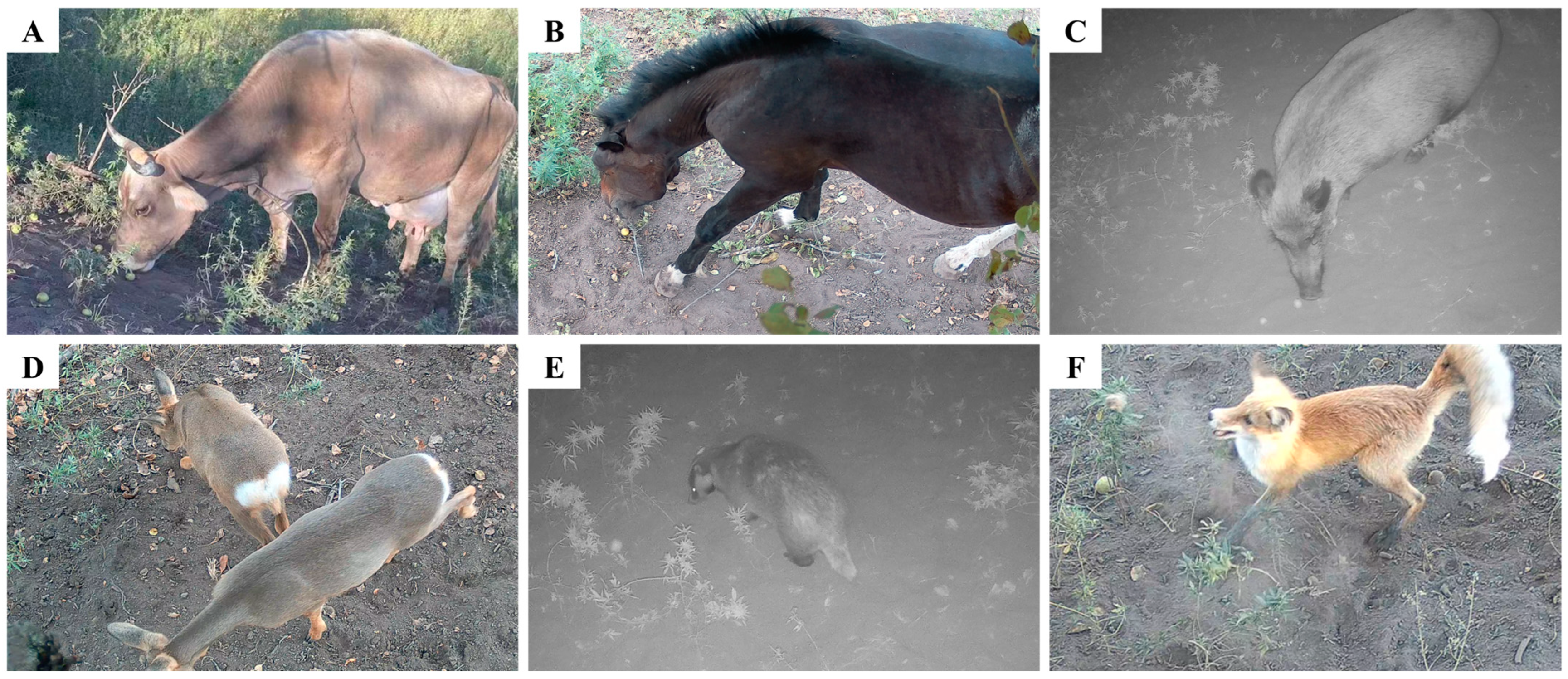 Diversity 15 01205 g003