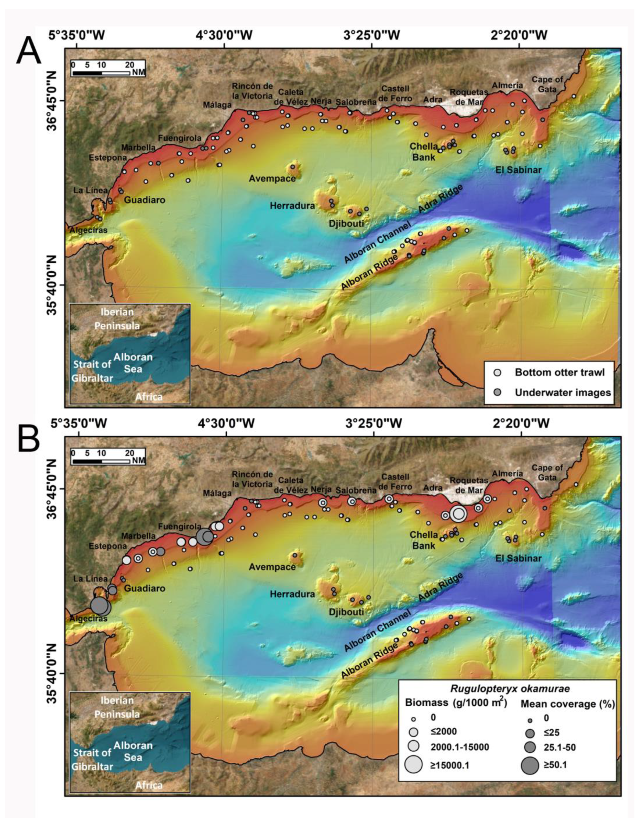 Diversity 15 01206 g002