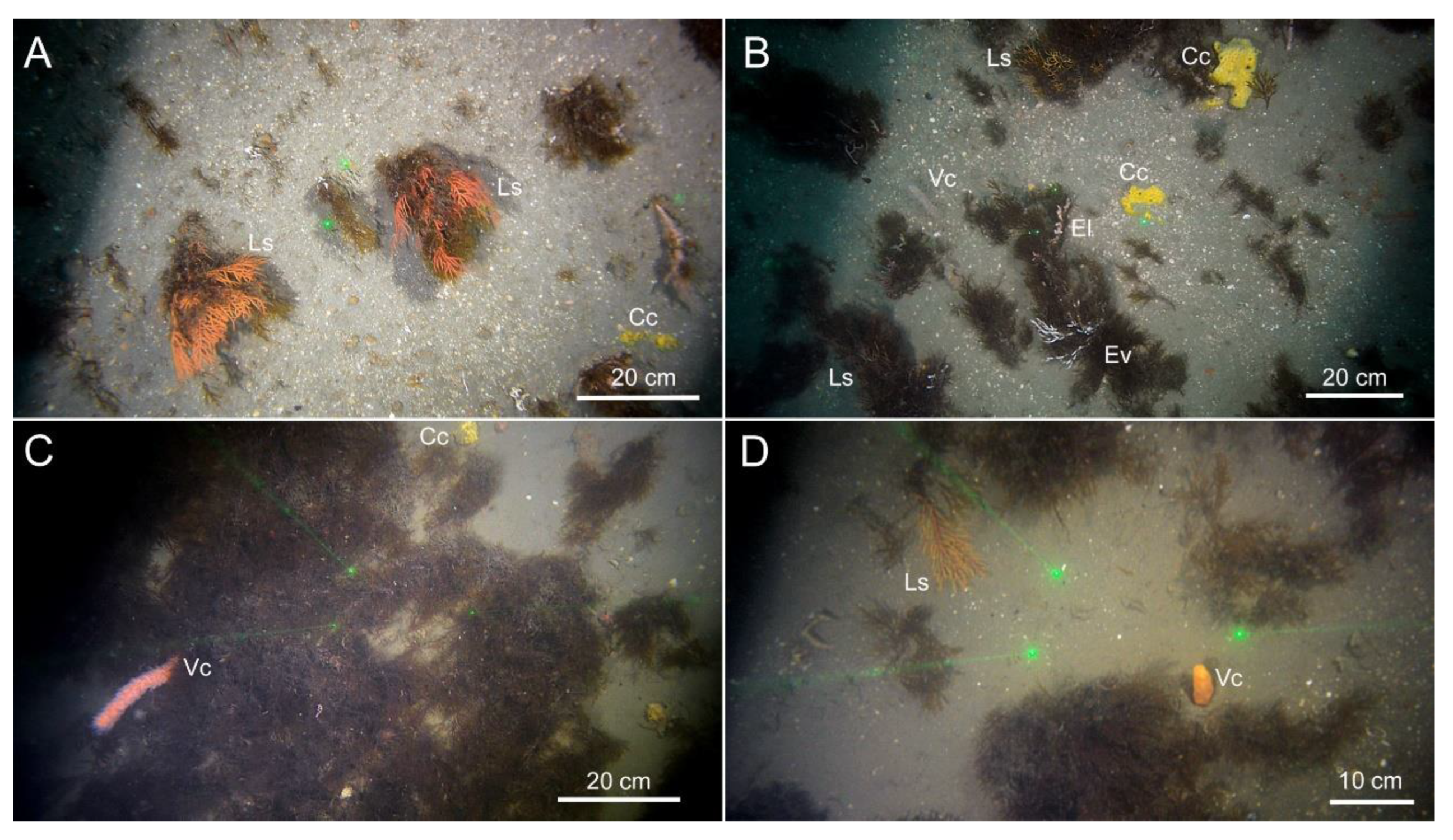 Diversity 15 01206 g004