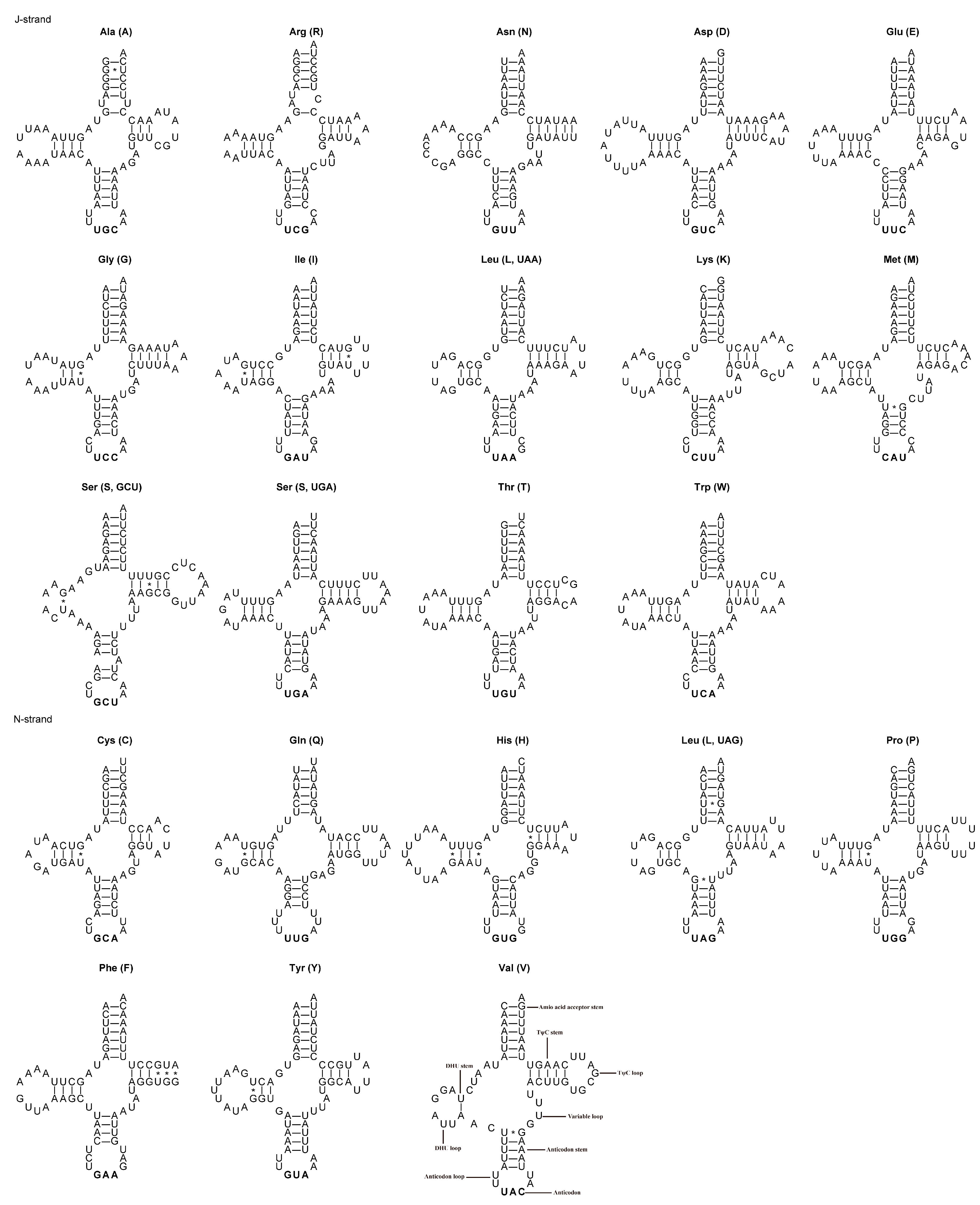 Diversity 15 01209 g004