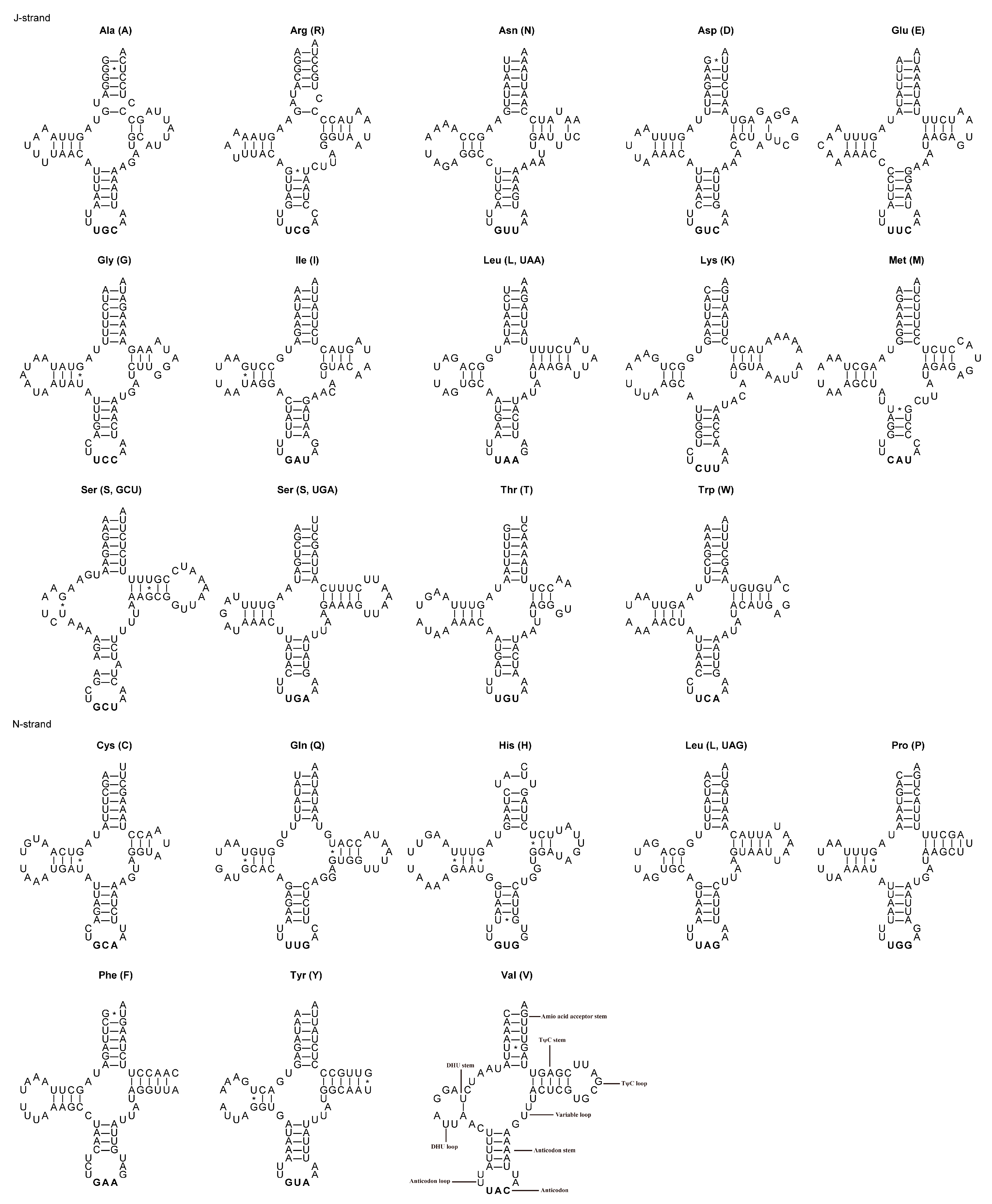 Diversity 15 01209 g005