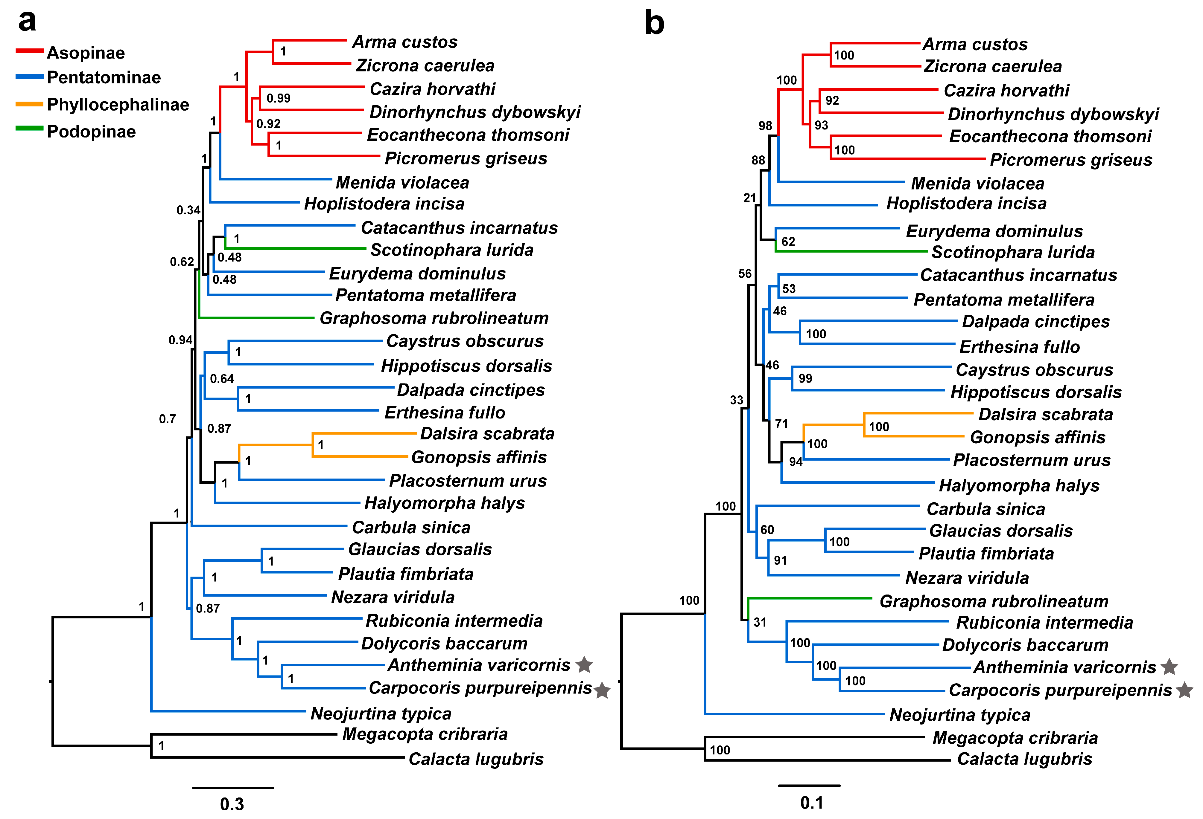 Diversity 15 01209 g006