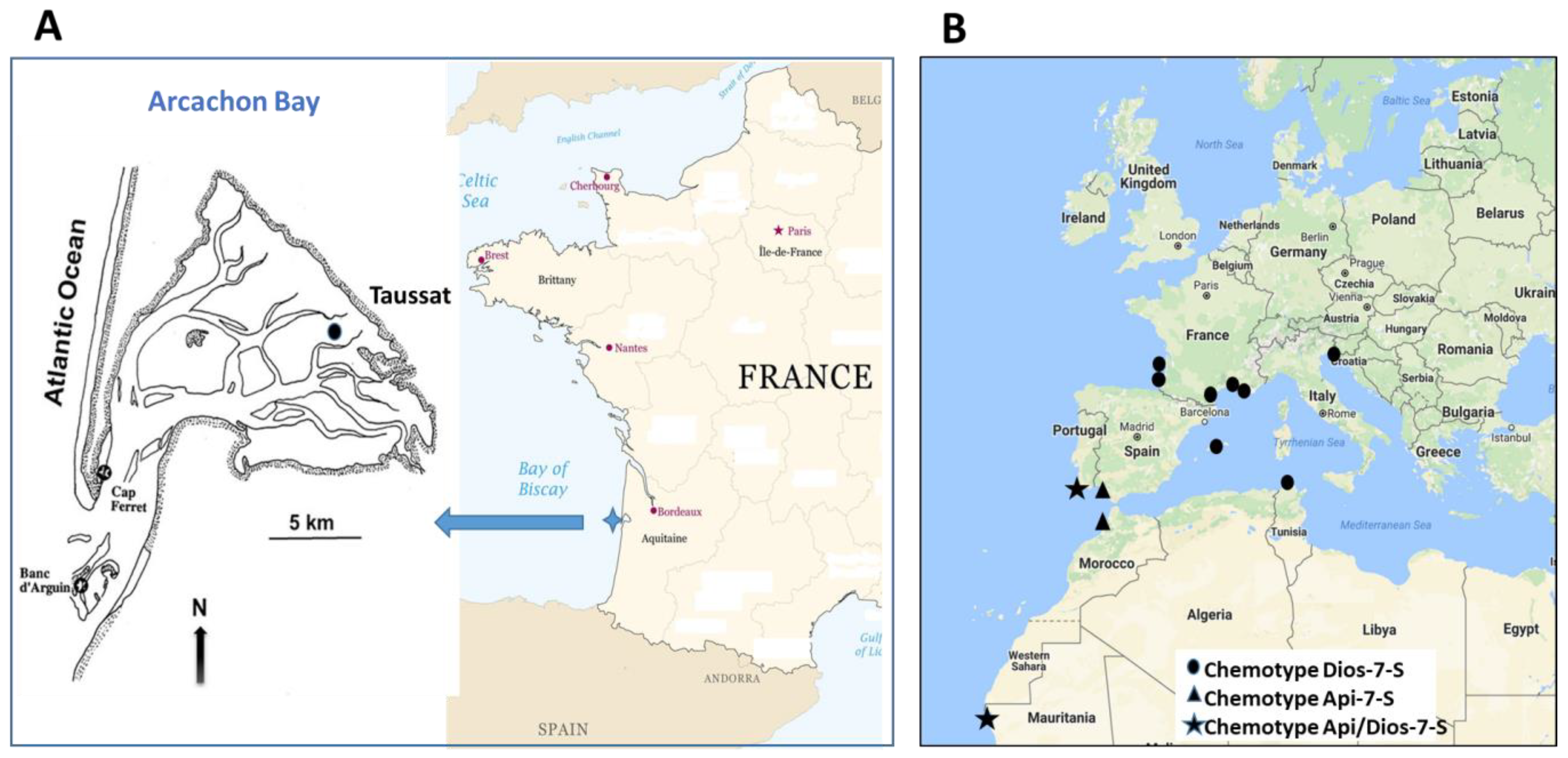 Diversity 15 01210 g001