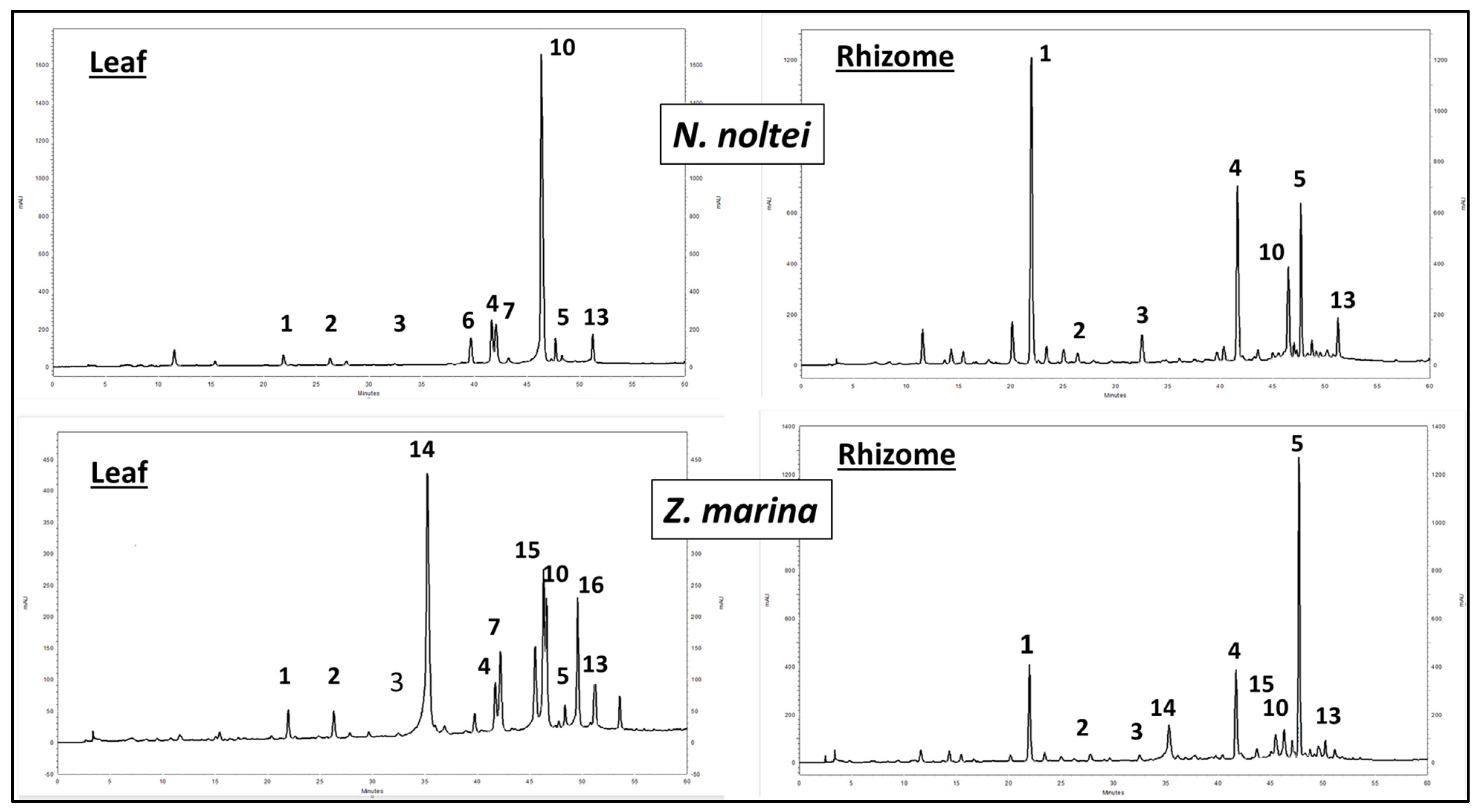 Diversity 15 01210 g003