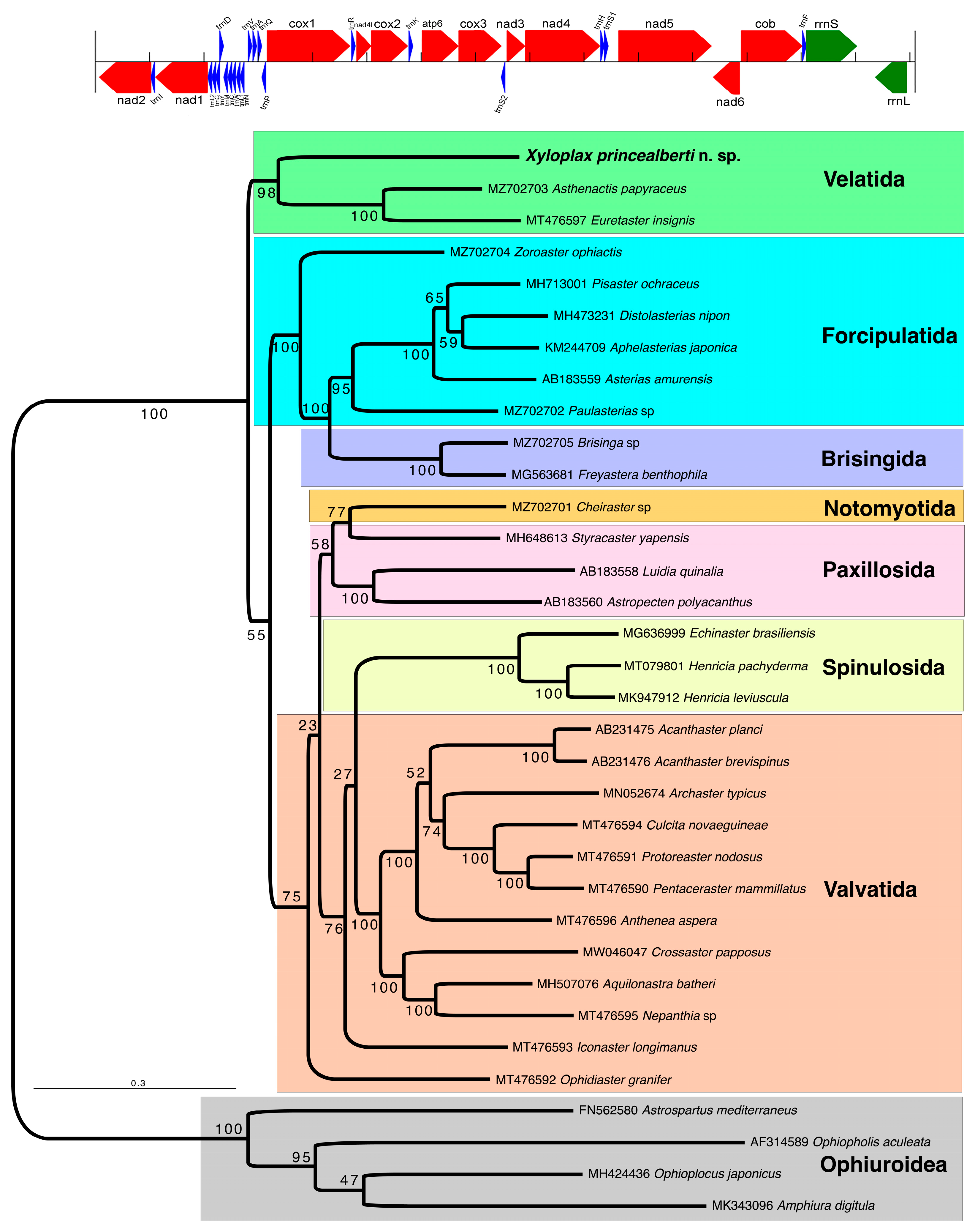 Diversity 15 01212 g003