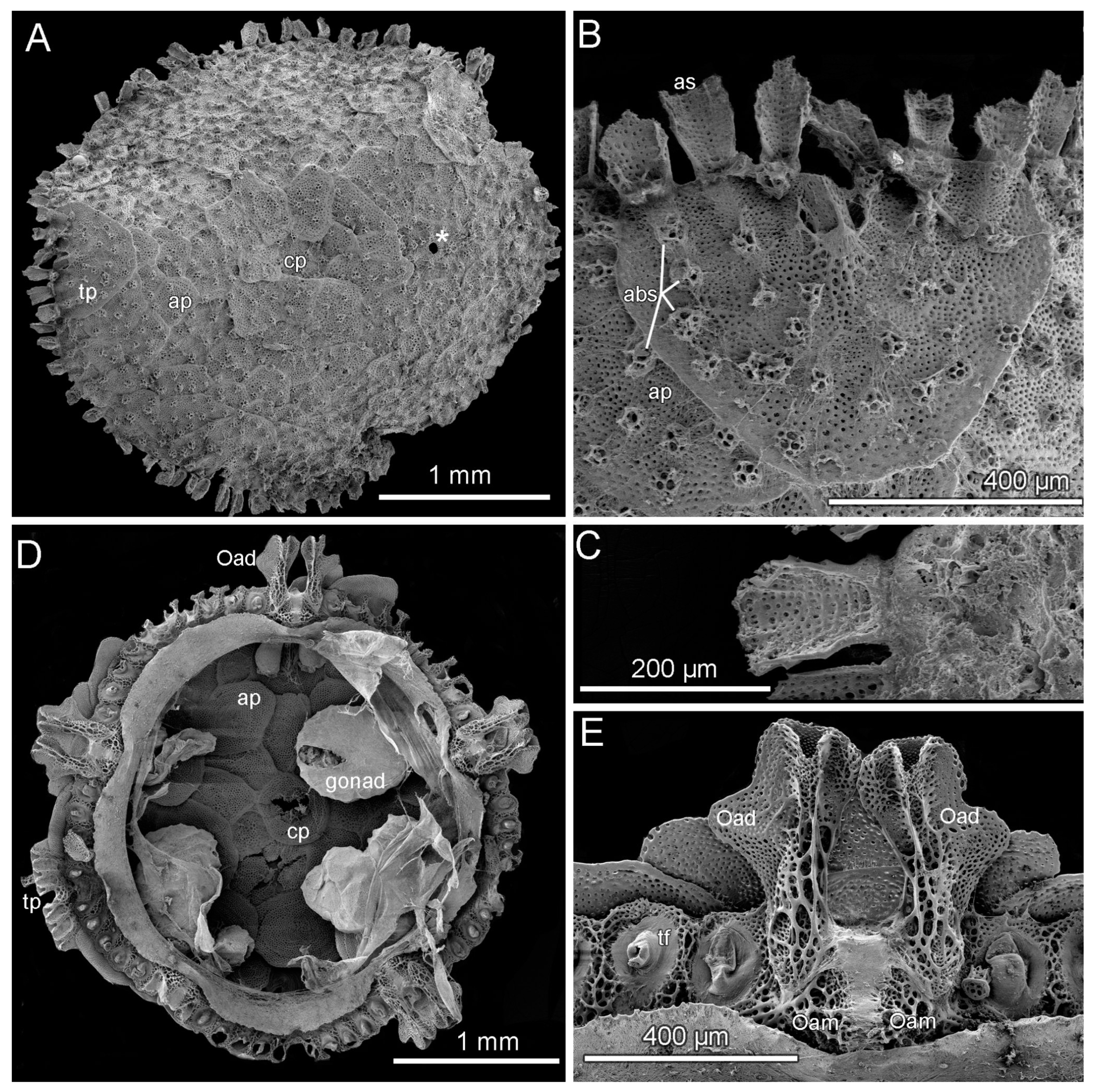 Diversity 15 01212 g006