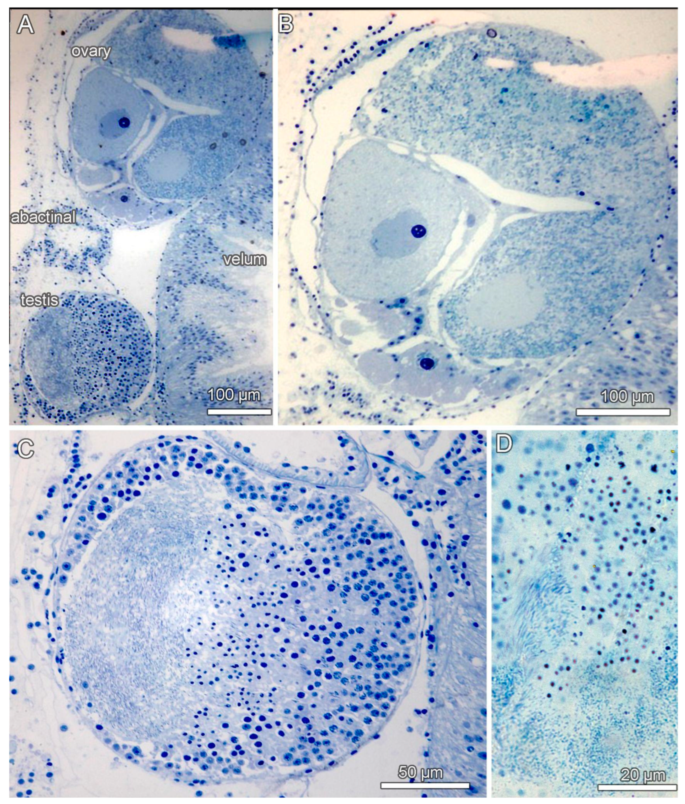 Diversity 15 01212 g009