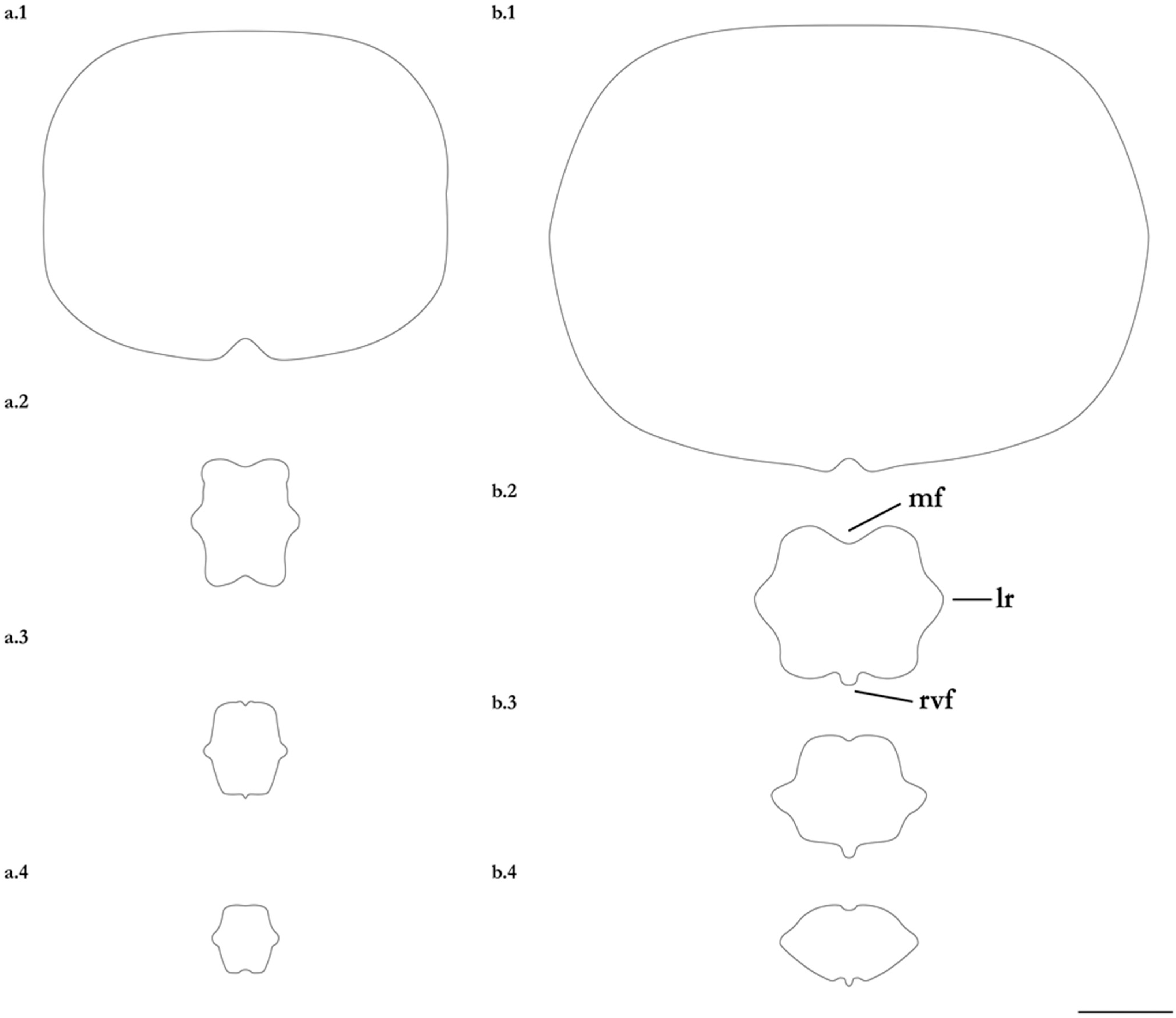 Diversity 15 01213 g018