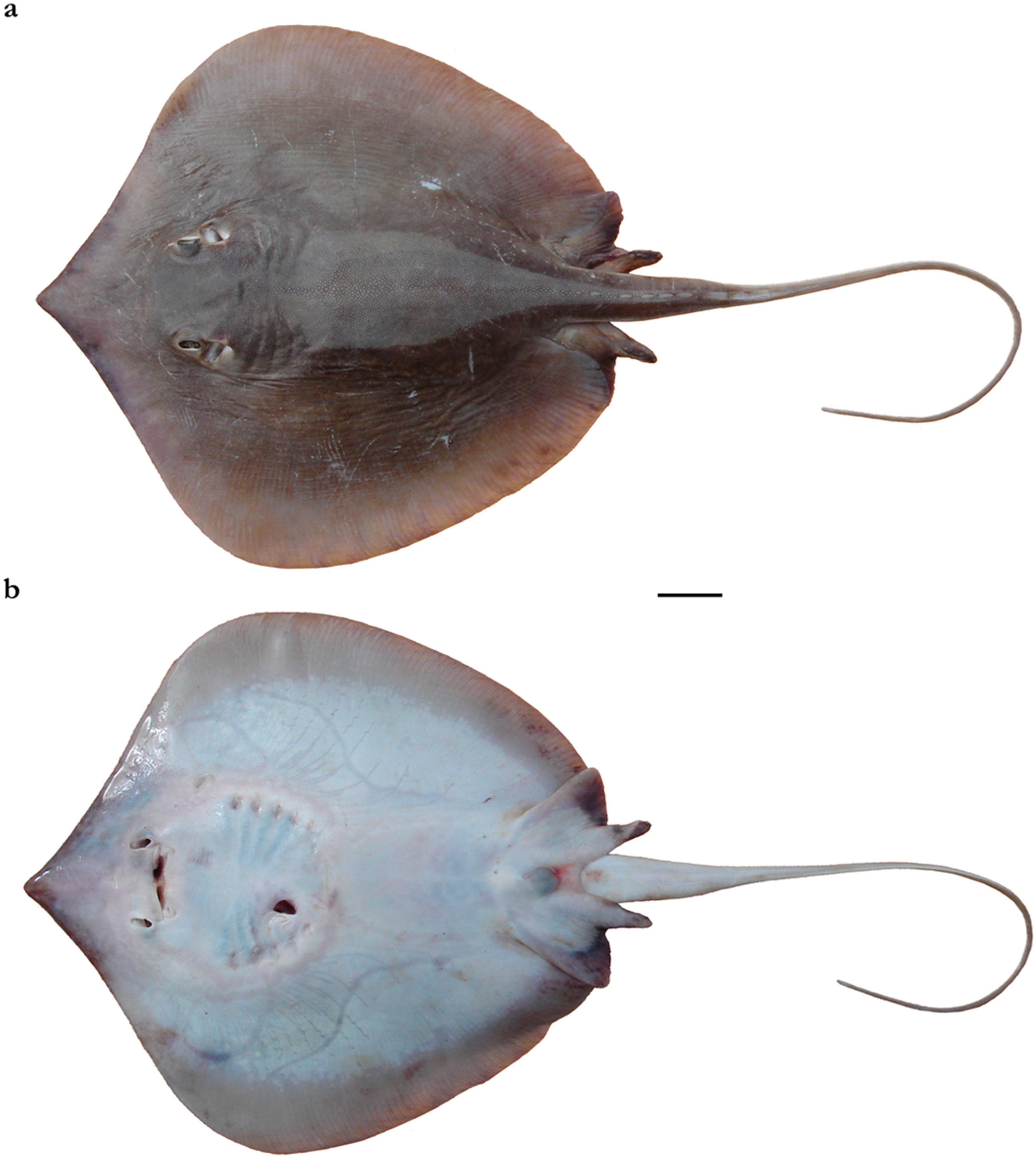 Diversity 15 01213 g025