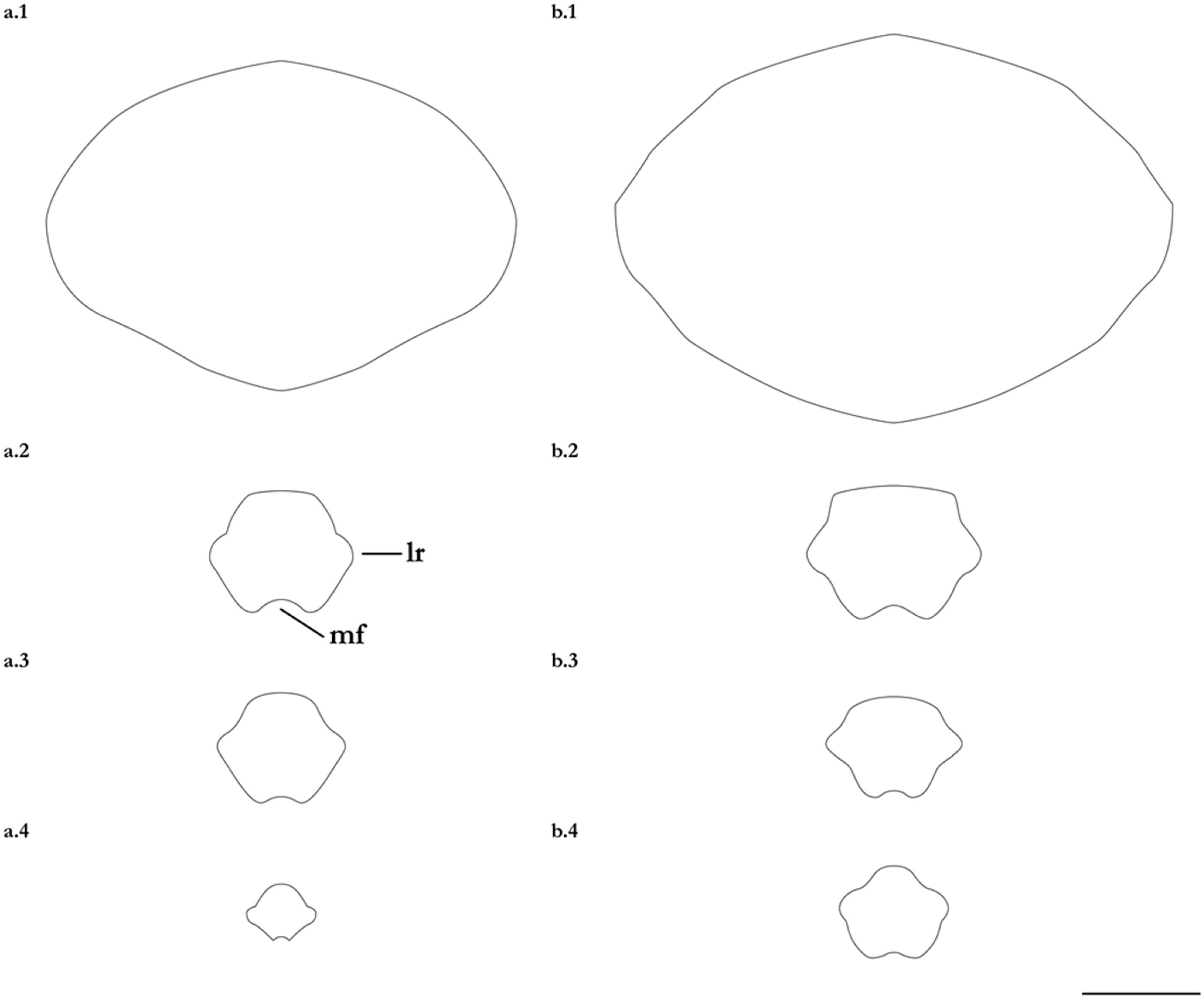Diversity 15 01213 g030