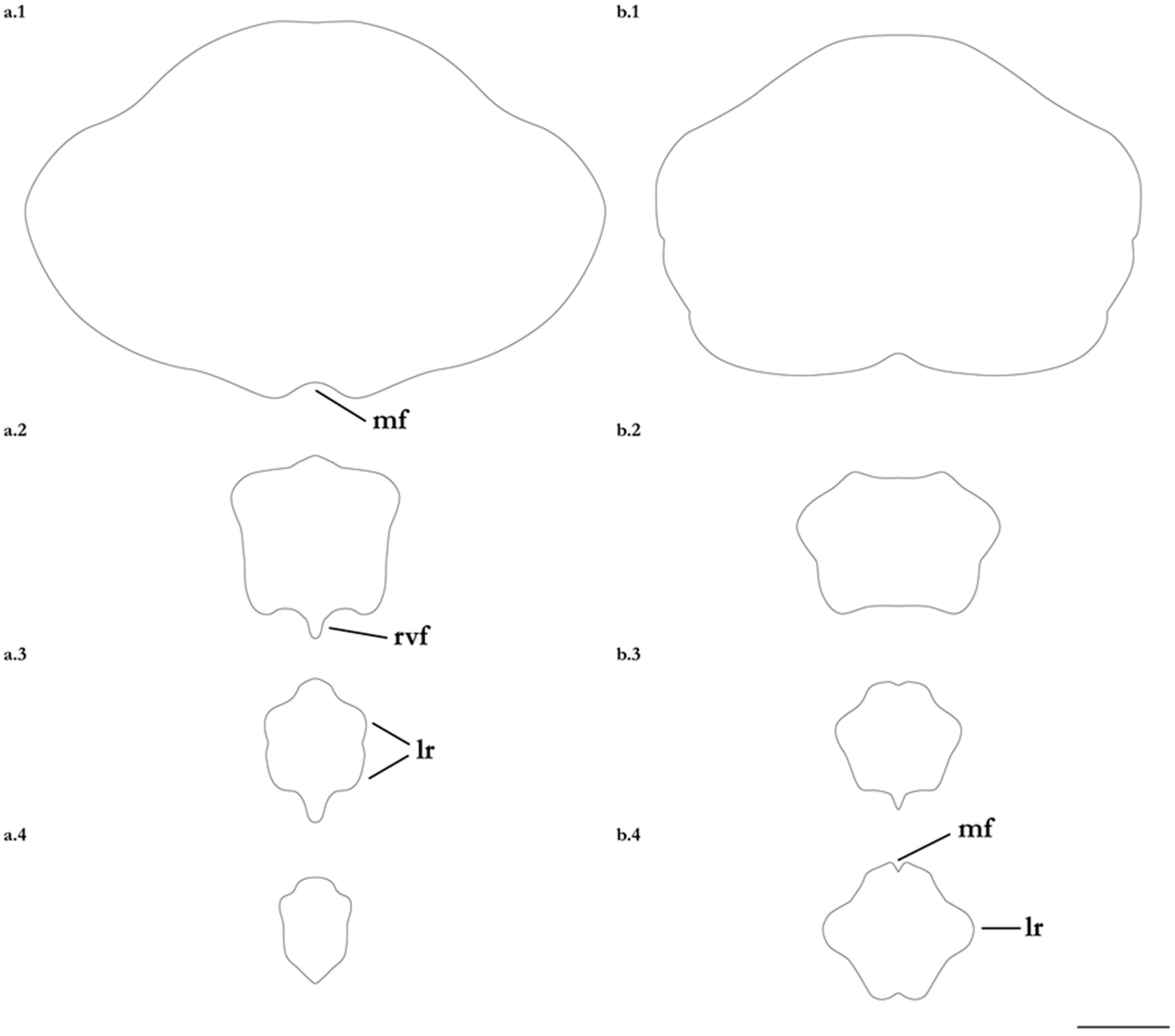 Diversity 15 01213 g034