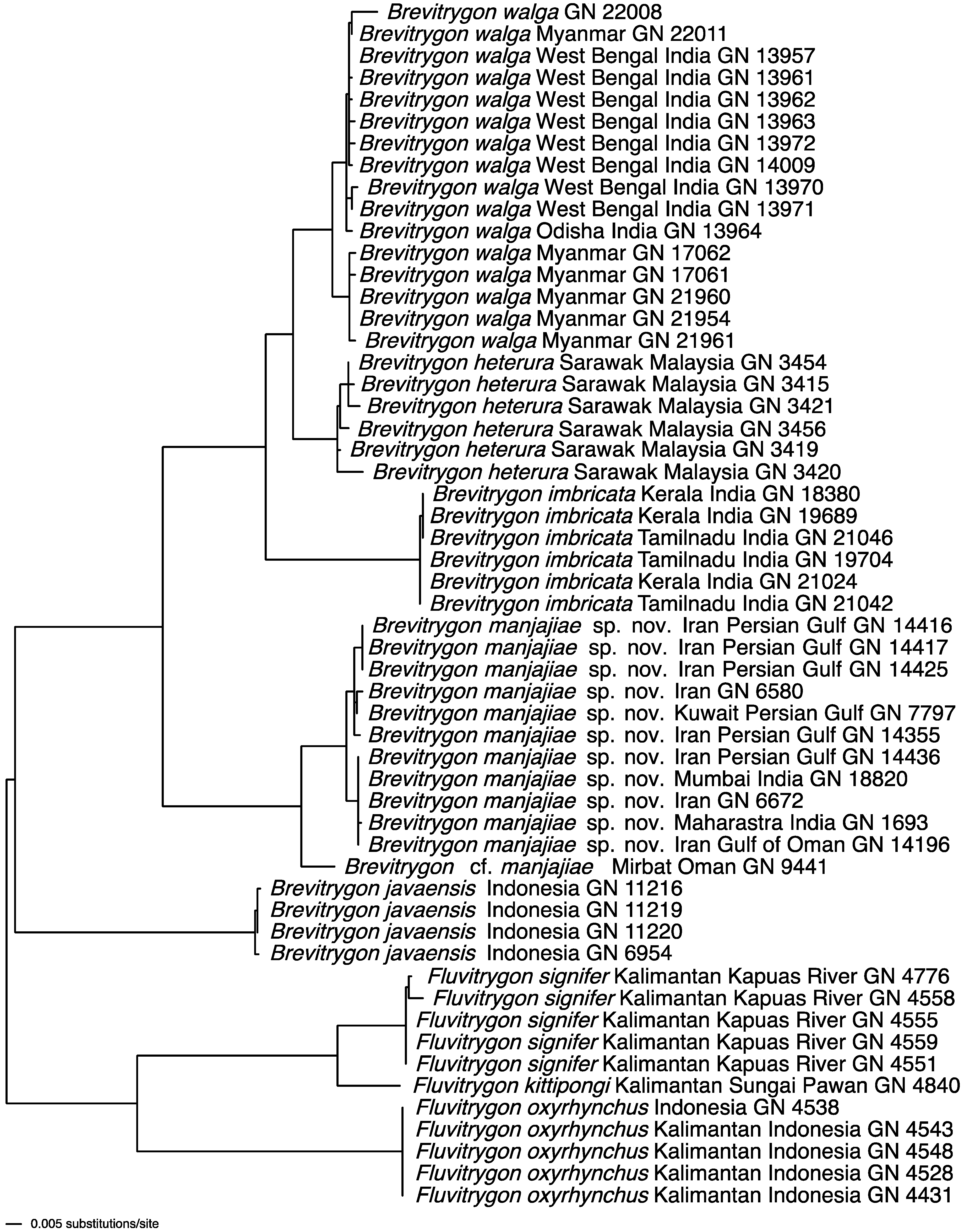 Diversity 15 01213 g039