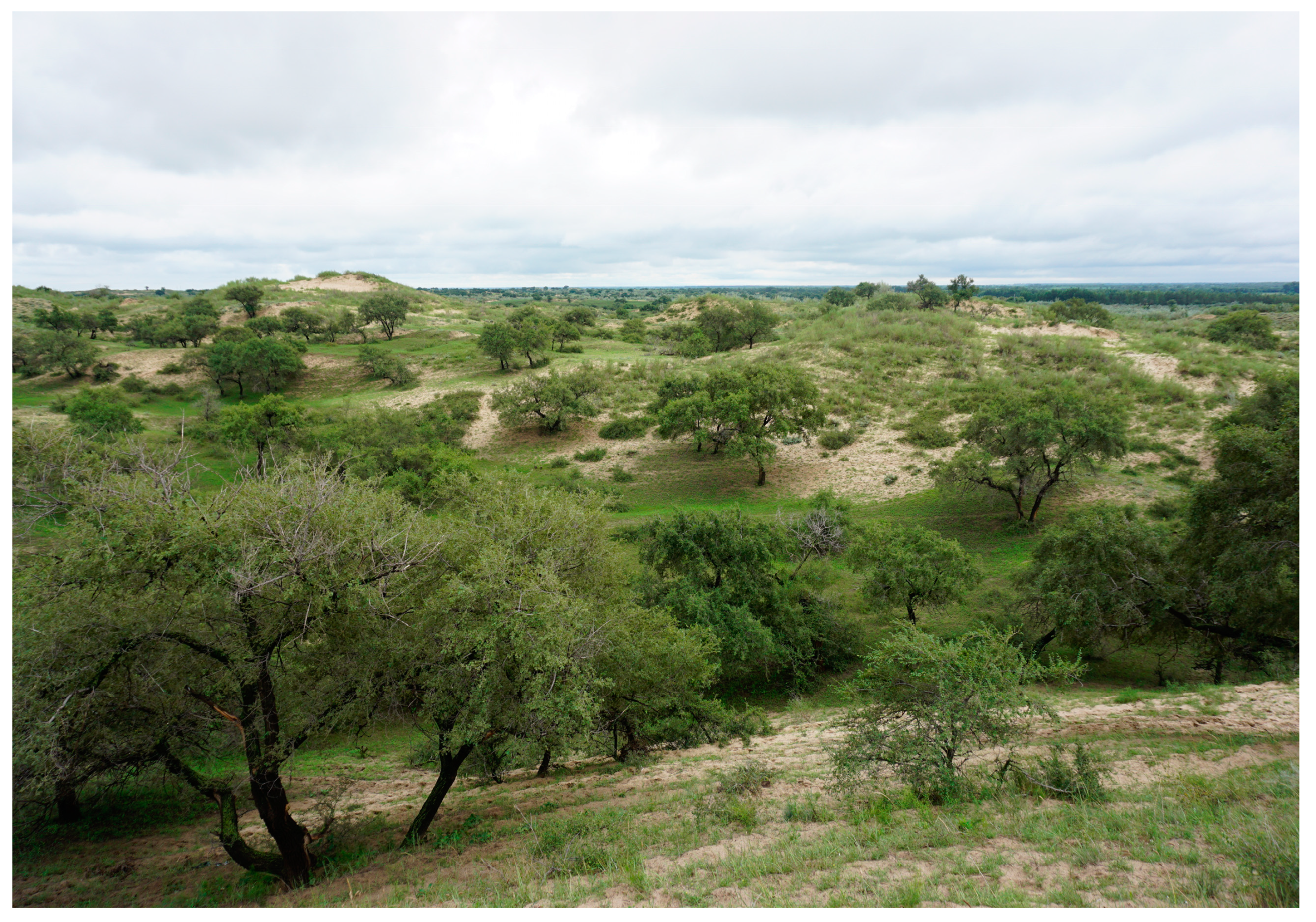 Diversity 15 01221 g001 Diversity 15 01221 g001