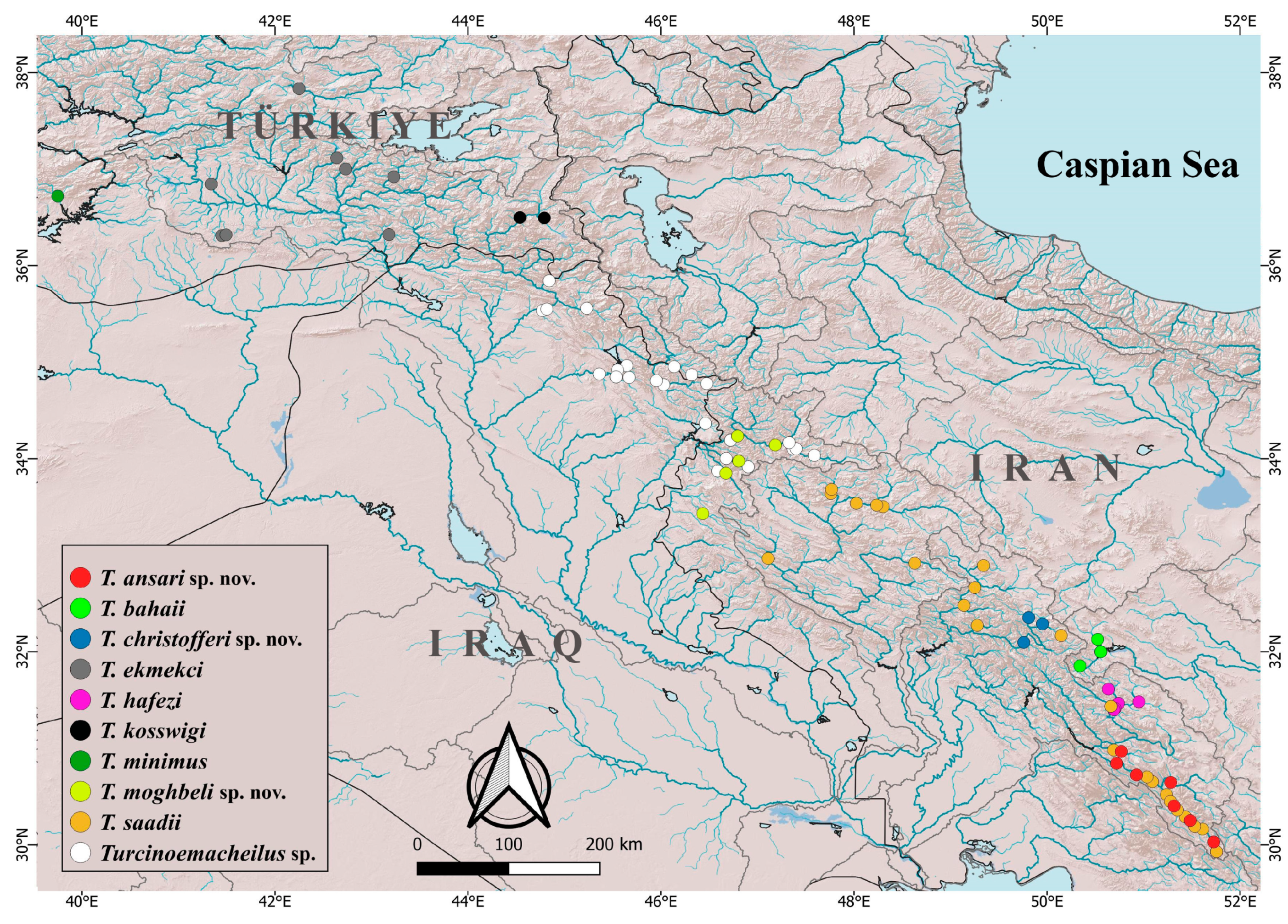 Diversity 15 01222 g001