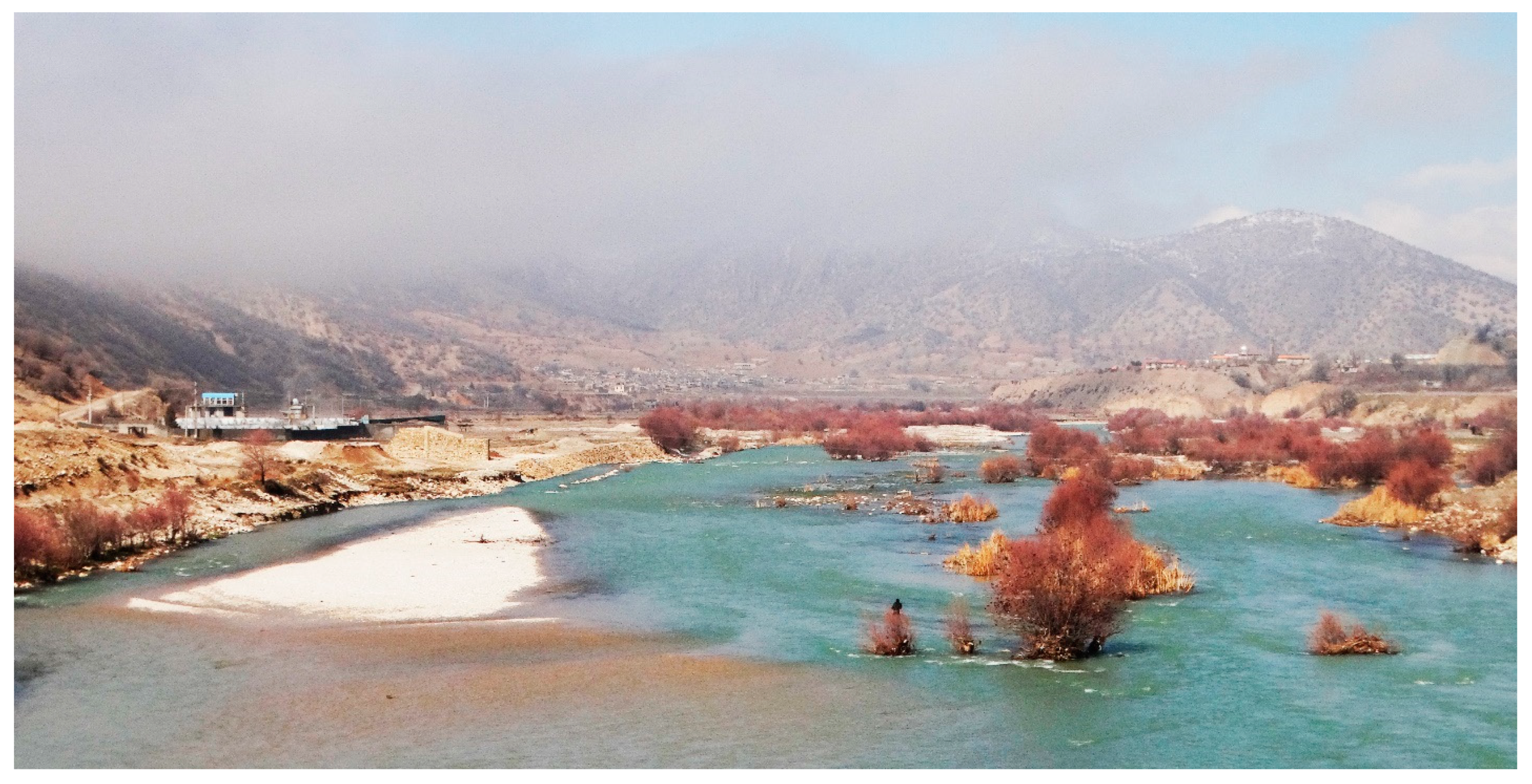 Diversity 15 01222 g007