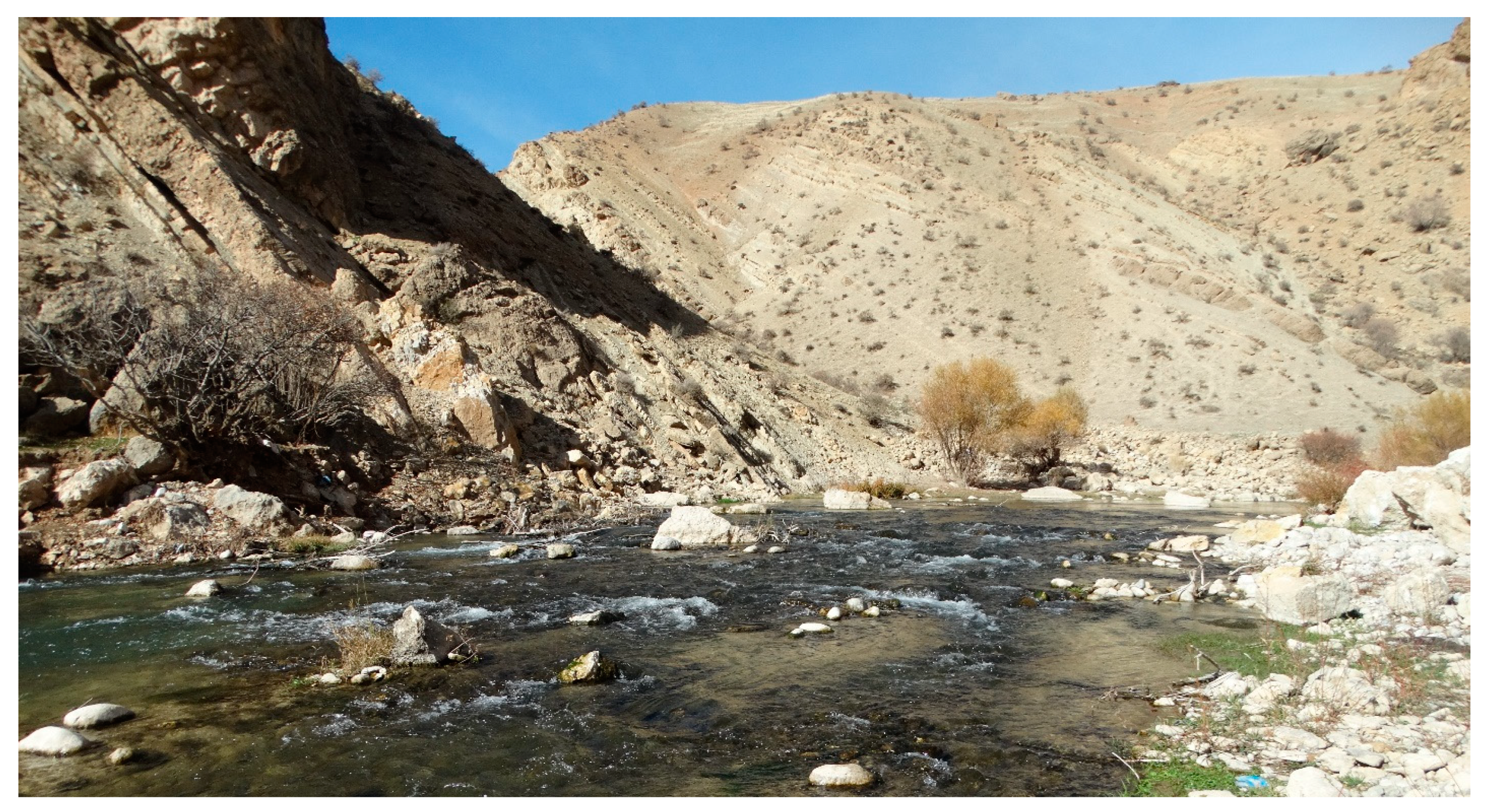 Diversity 15 01222 g010