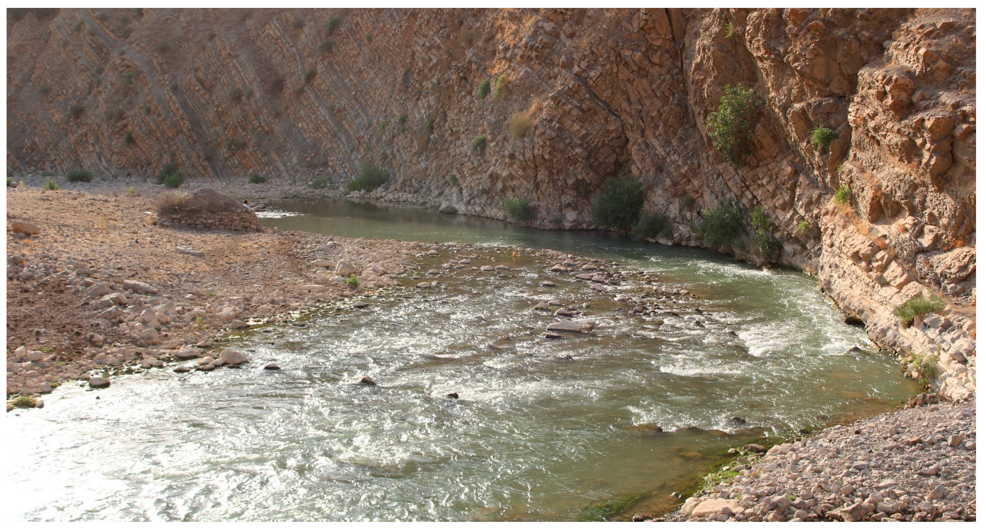 Diversity 15 01222 g014