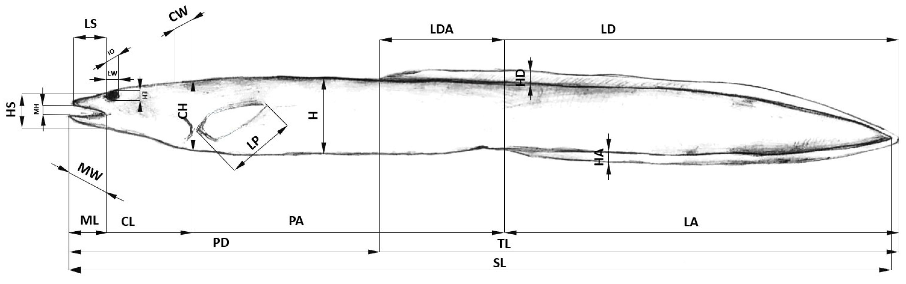 Diversity 15 01223 g002