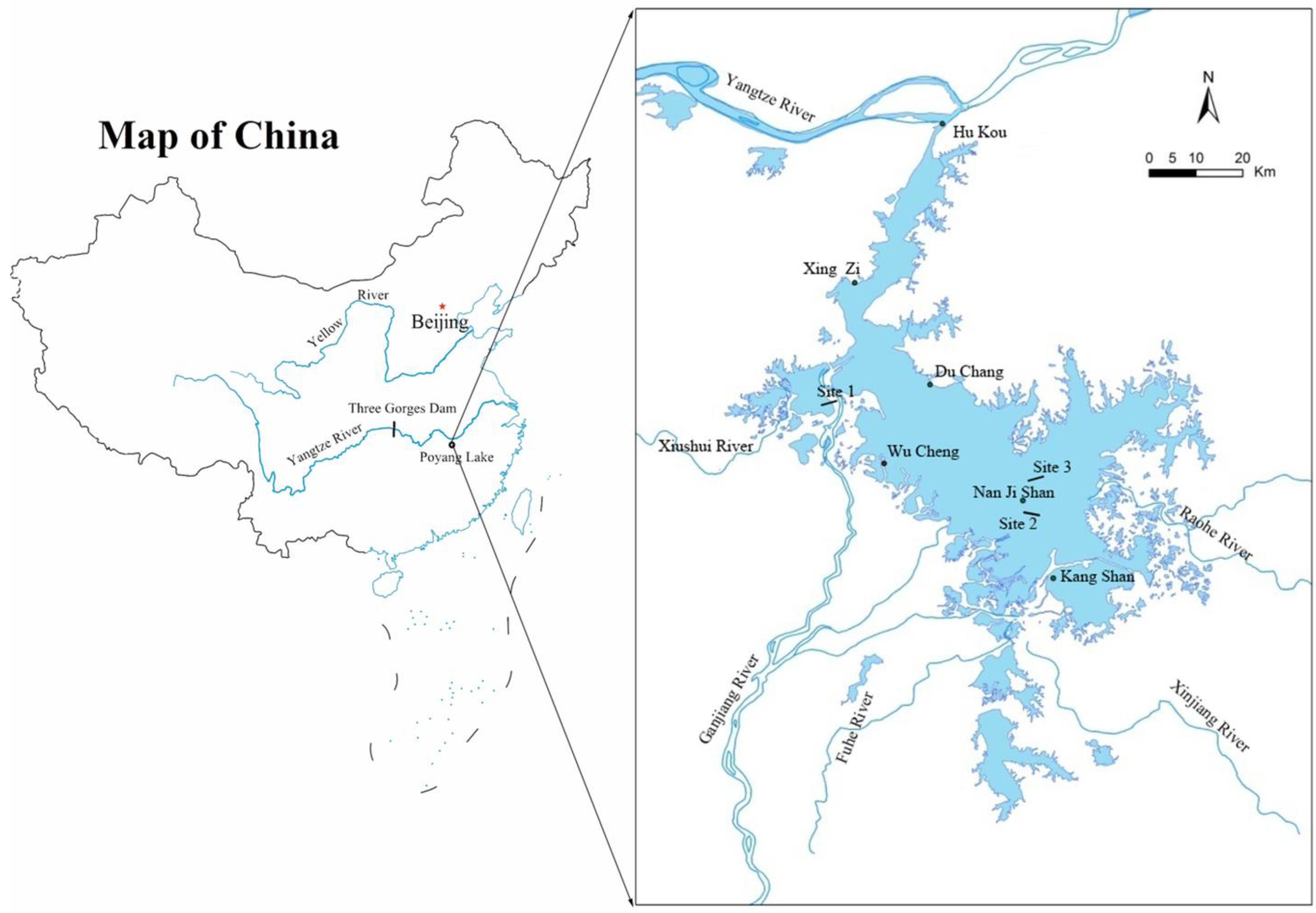 Diversity 16 00003 g001