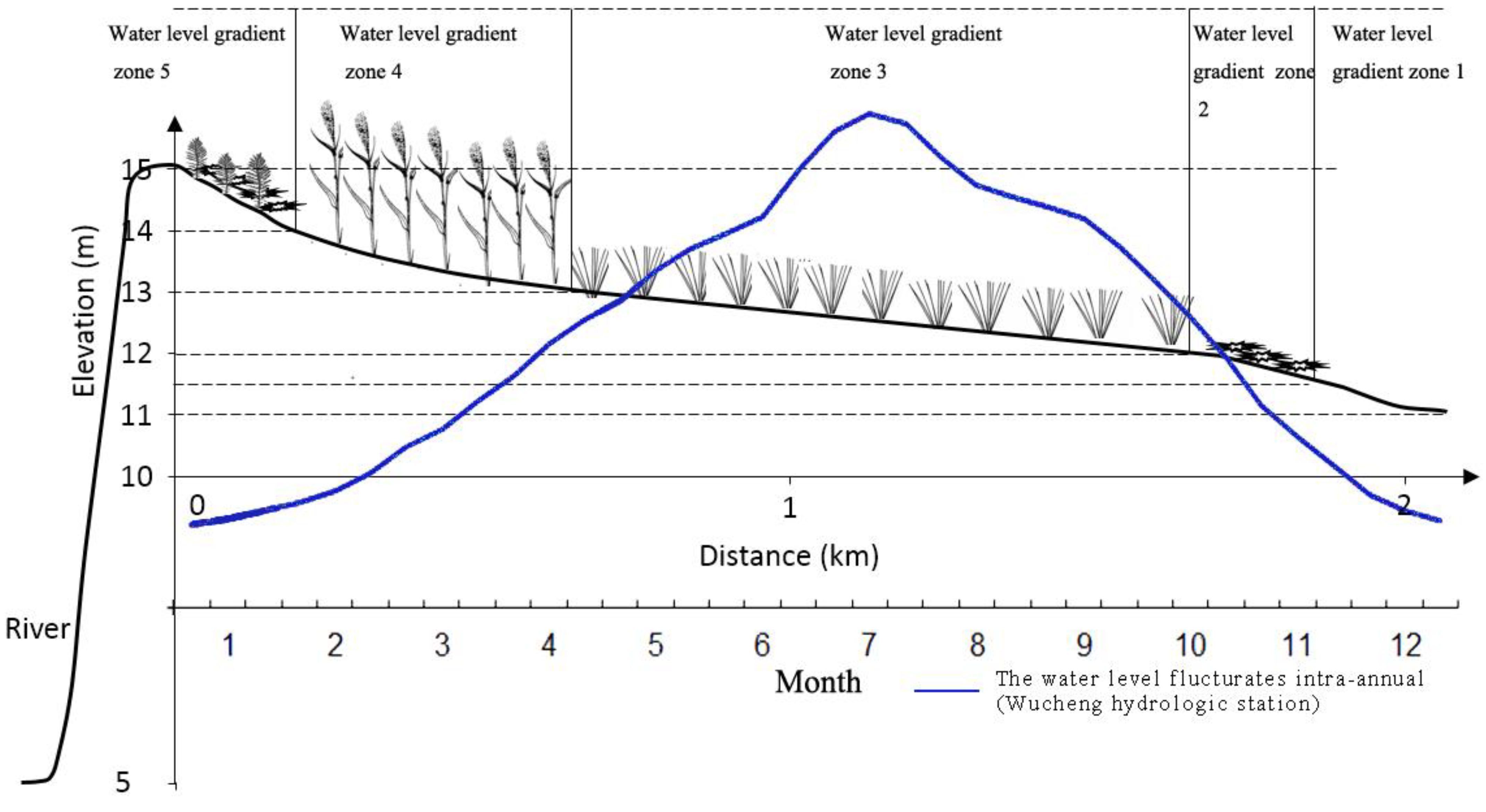 Diversity 16 00003 g002