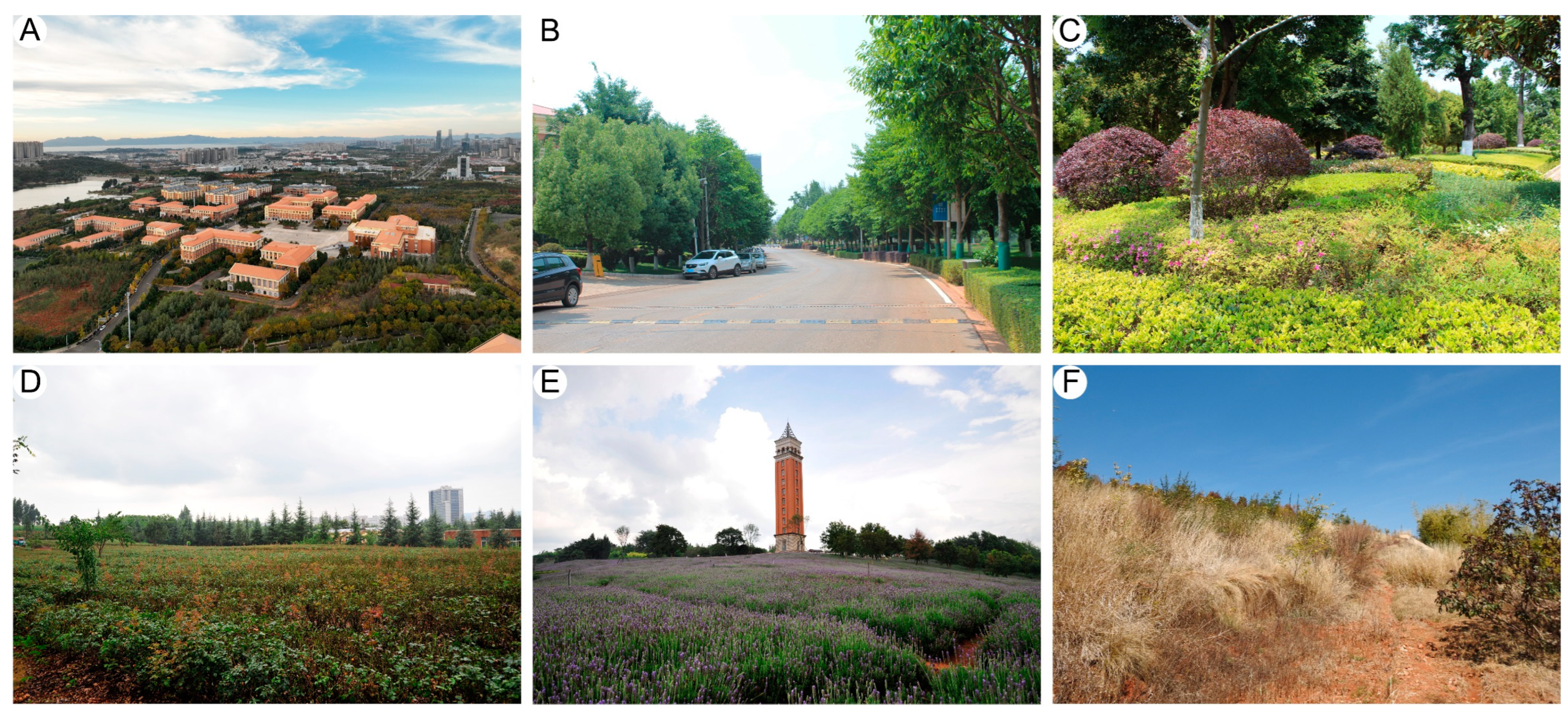 Diversity 16 00004 g003