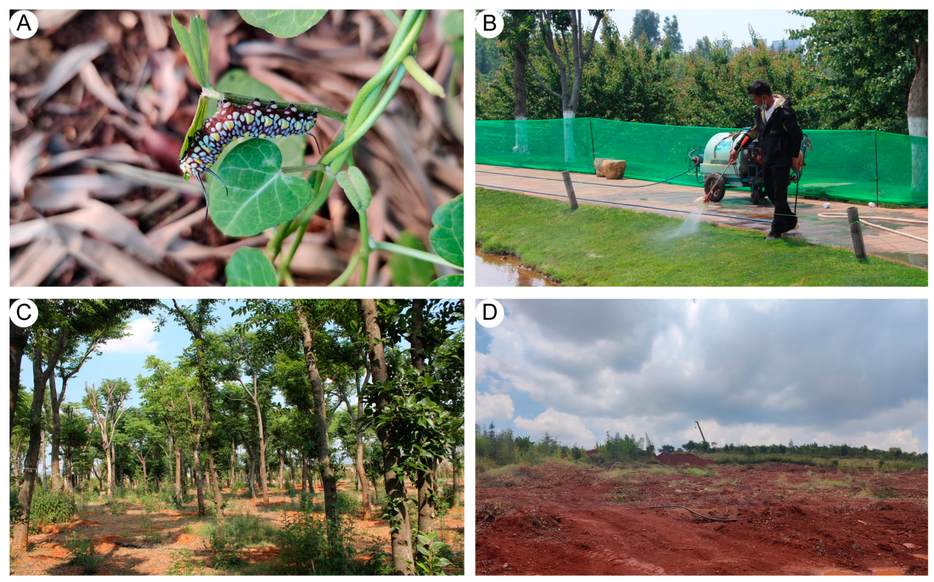 Diversity 16 00004 g008