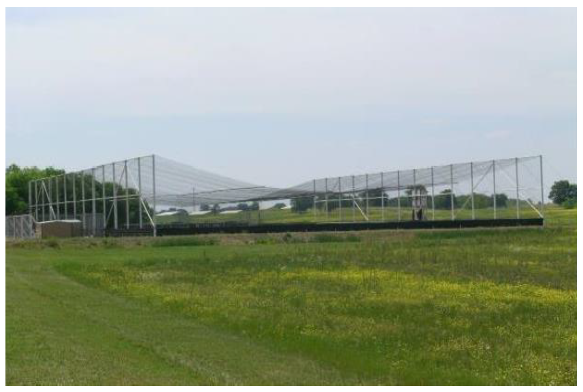 Diversity 16 00005 g001