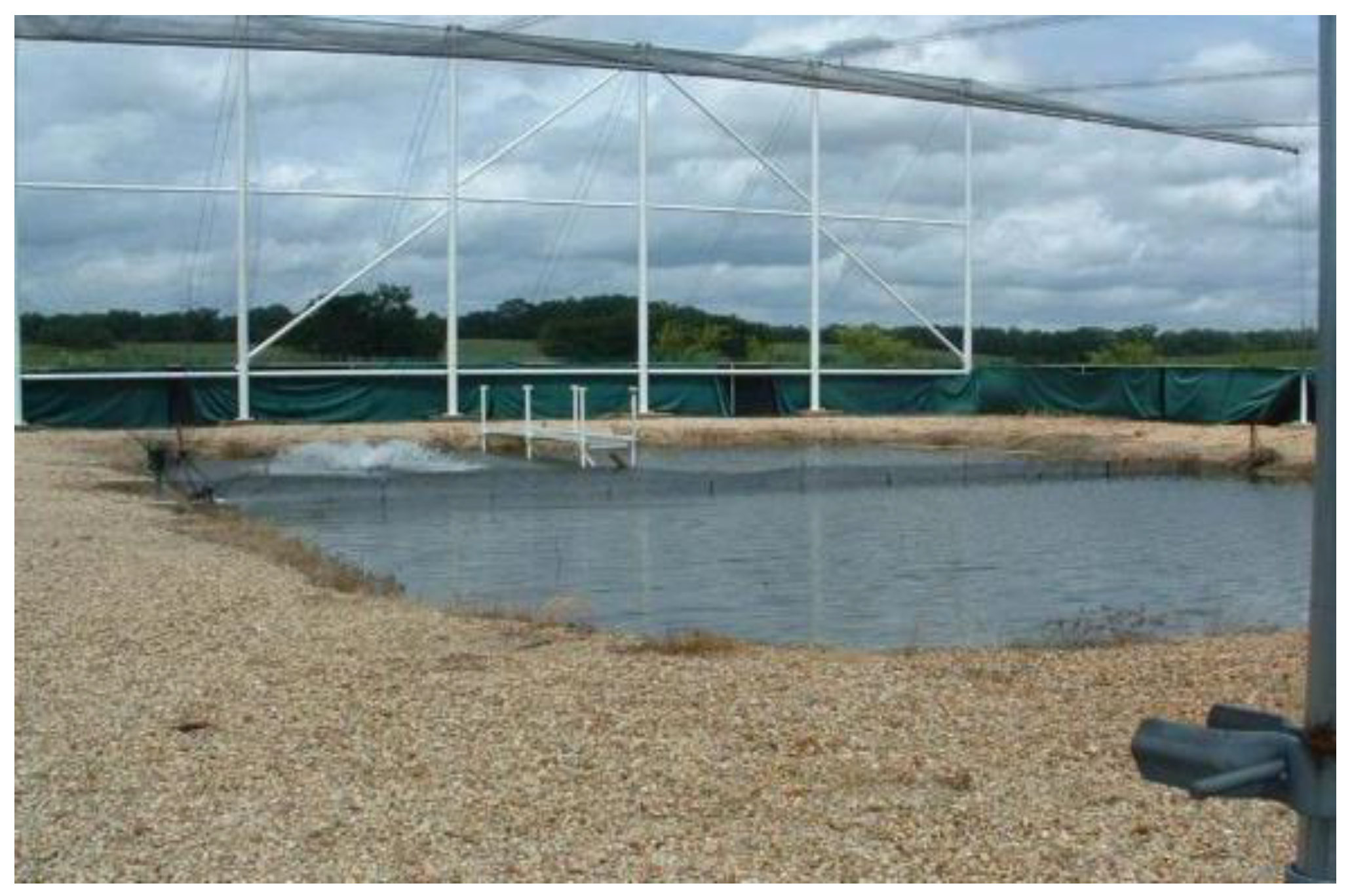 Diversity 16 00005 g002