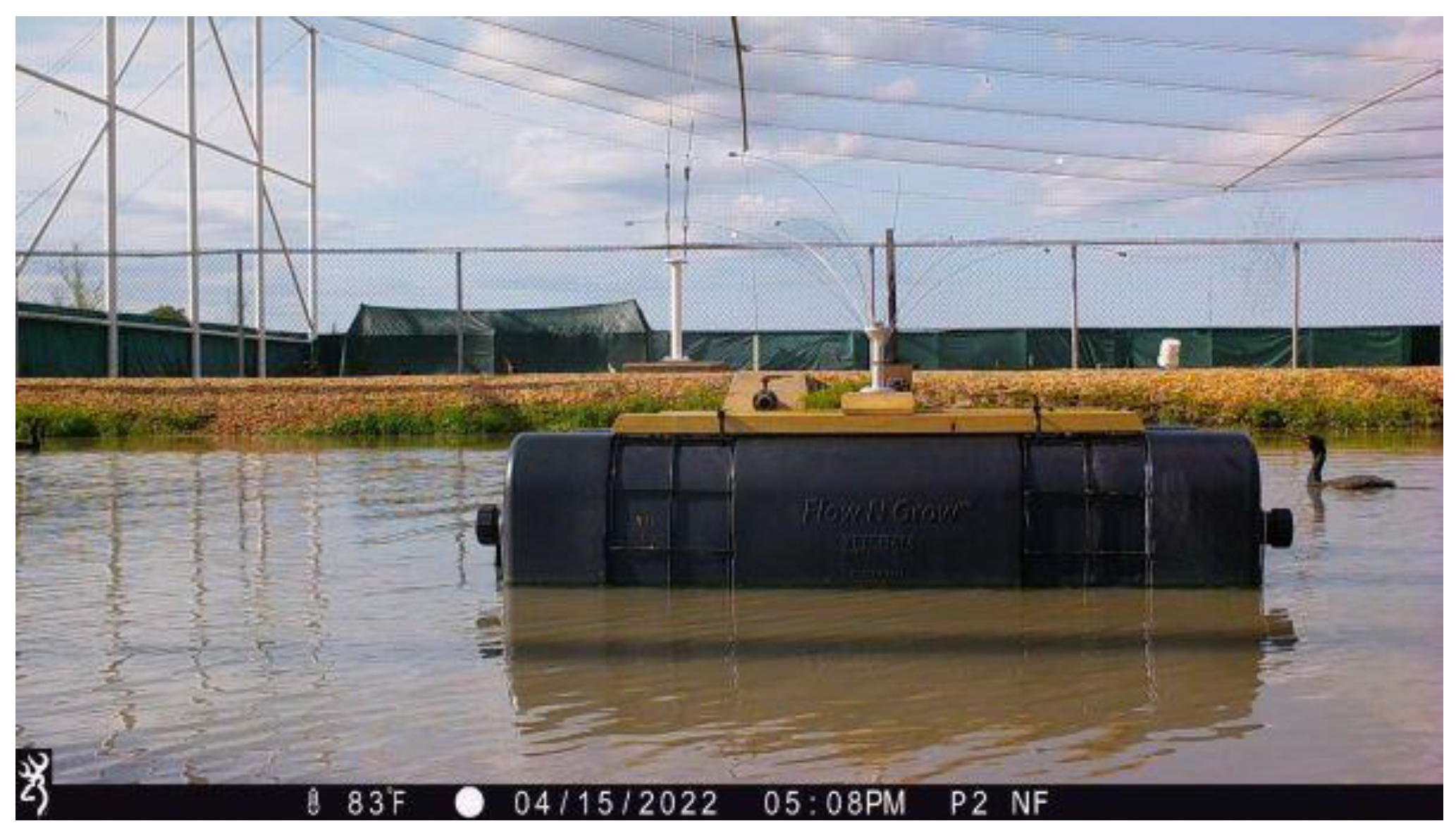 Diversity 16 00005 g003