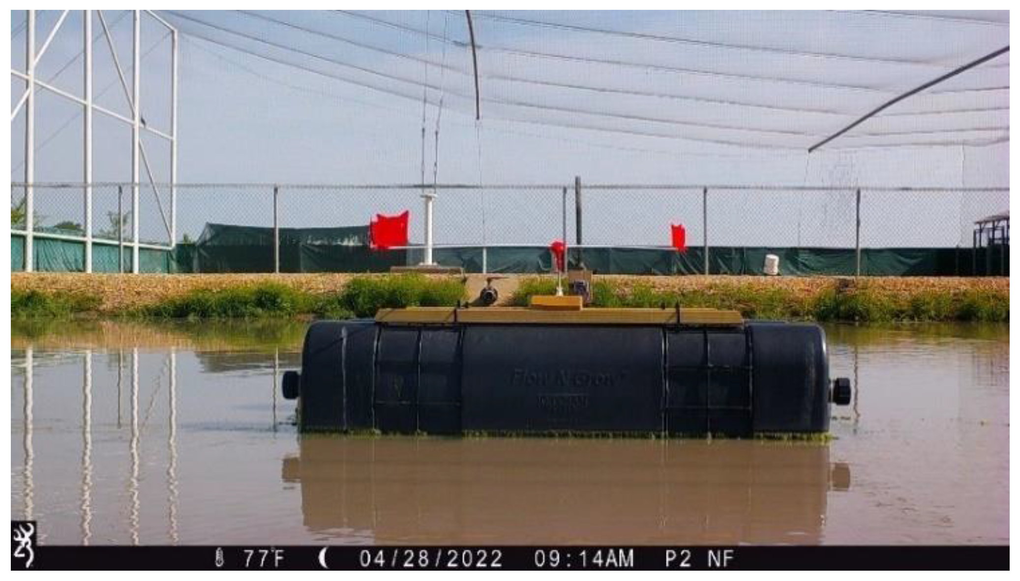 Diversity 16 00005 g004