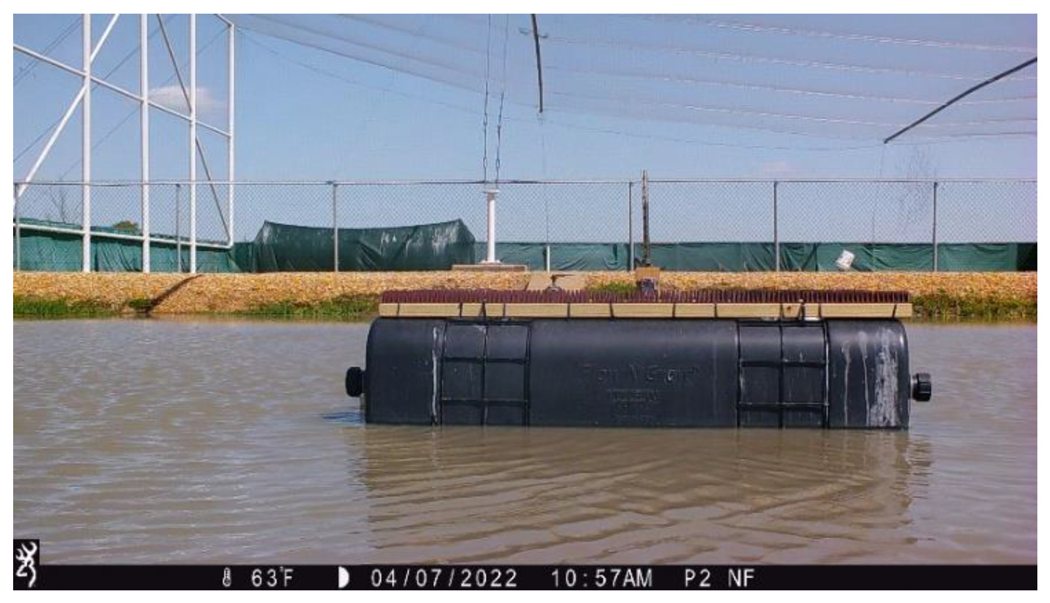 Diversity 16 00005 g005