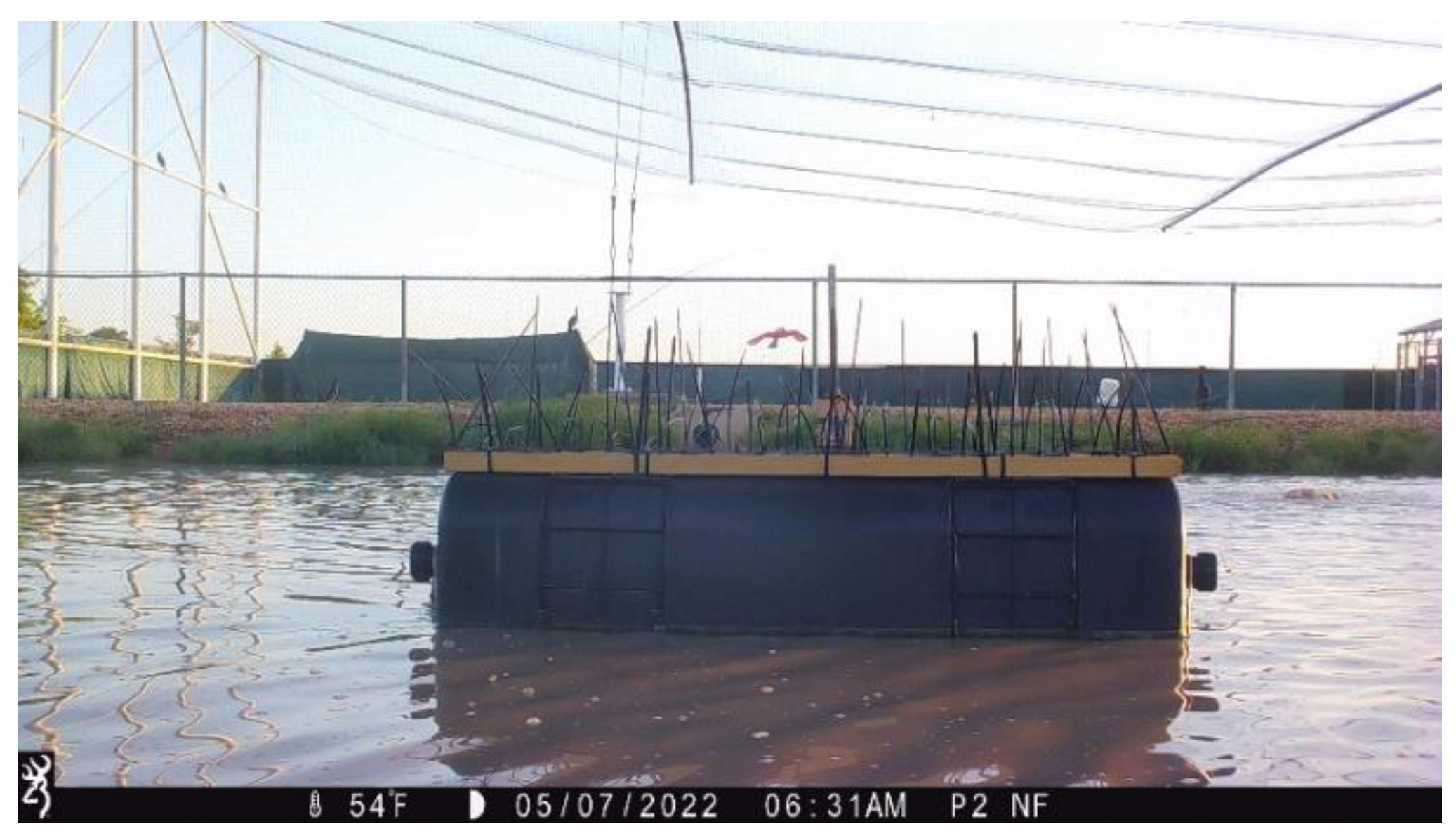 Diversity 16 00005 g006