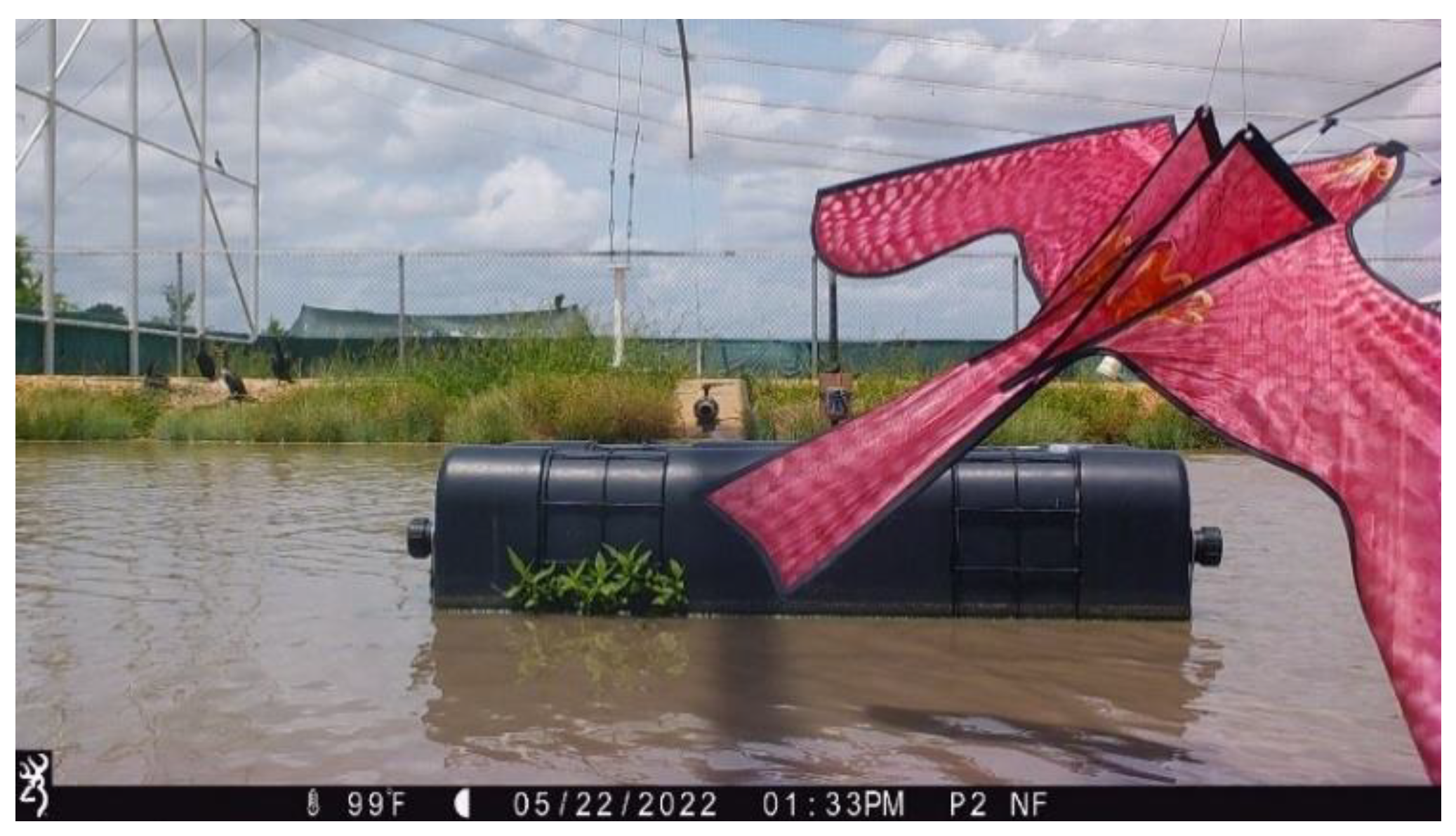 Diversity 16 00005 g008