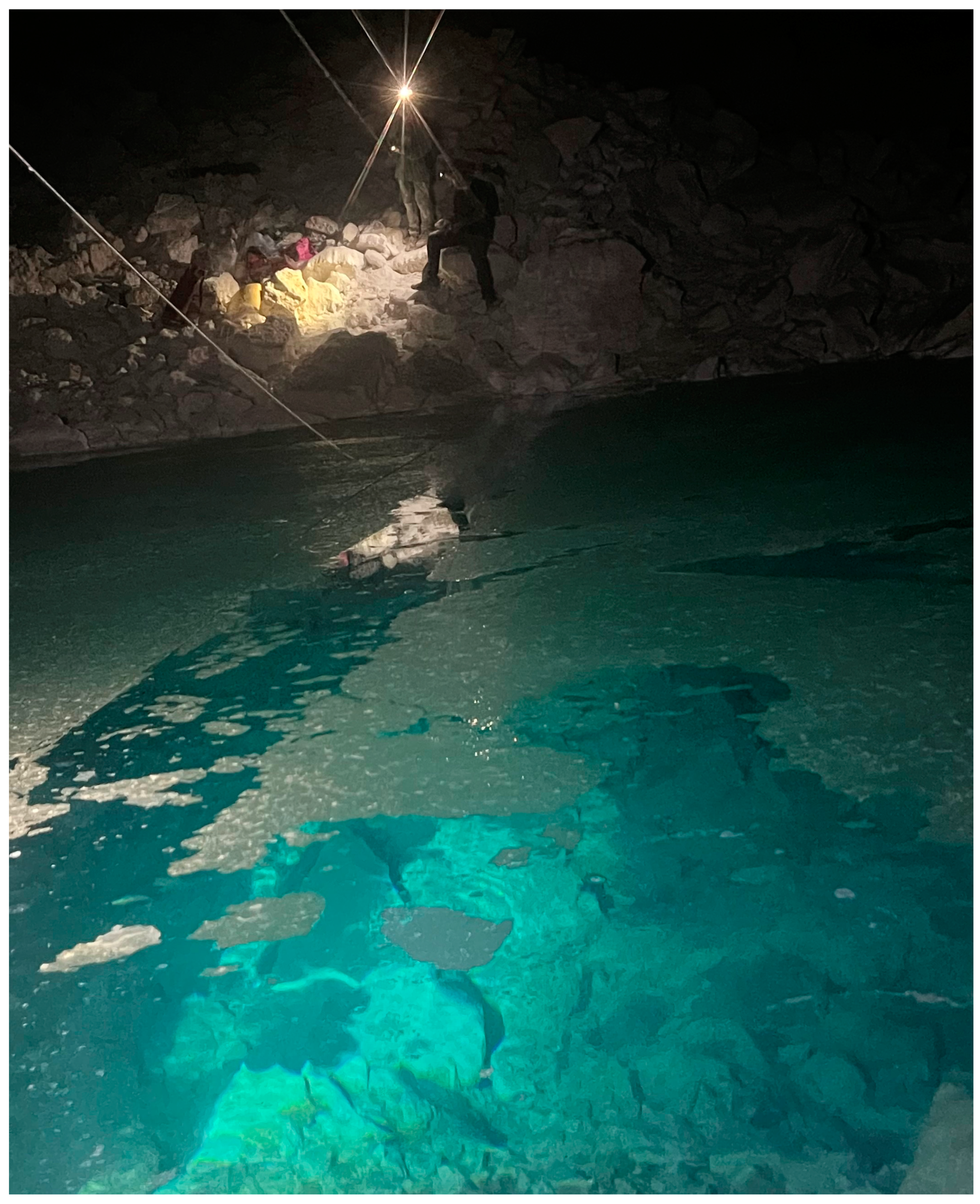 Diversity 16 00006 g002 Diversity 16 00006 g002