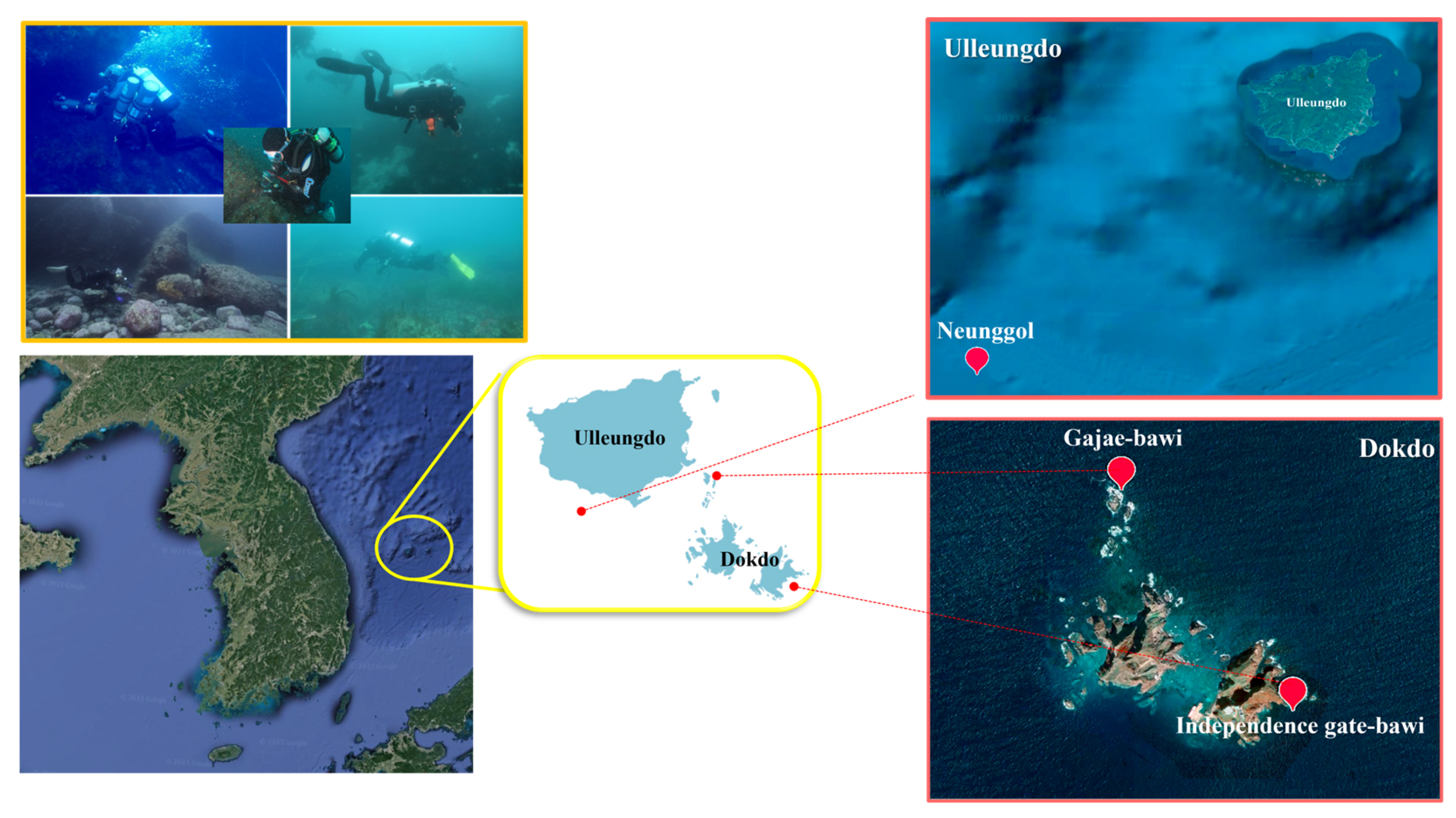 Diversity 16 00007 g001 Diversity 16 00007 g001