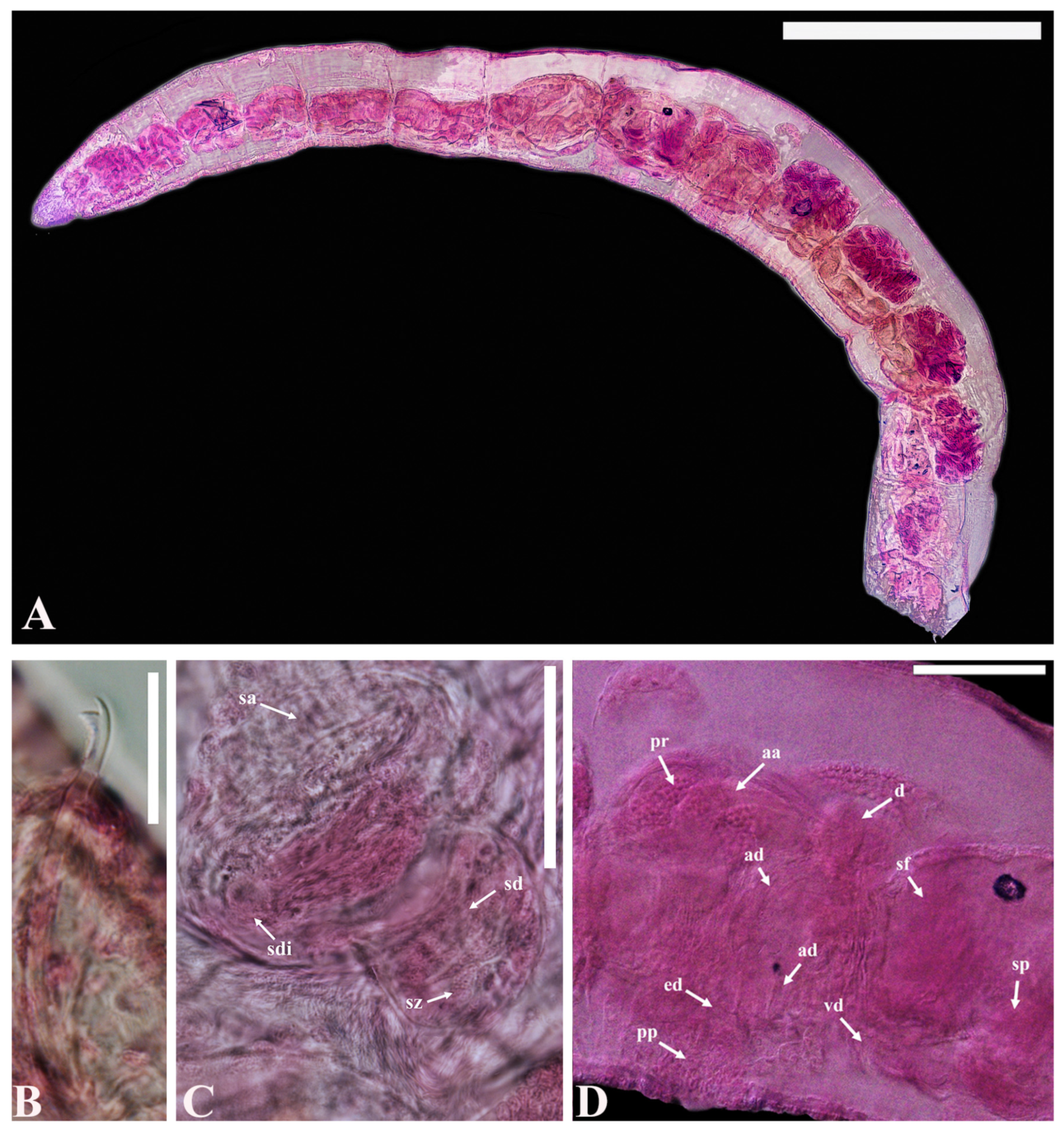 Diversity 16 00007 g003 Diversity 16 00007 g003
