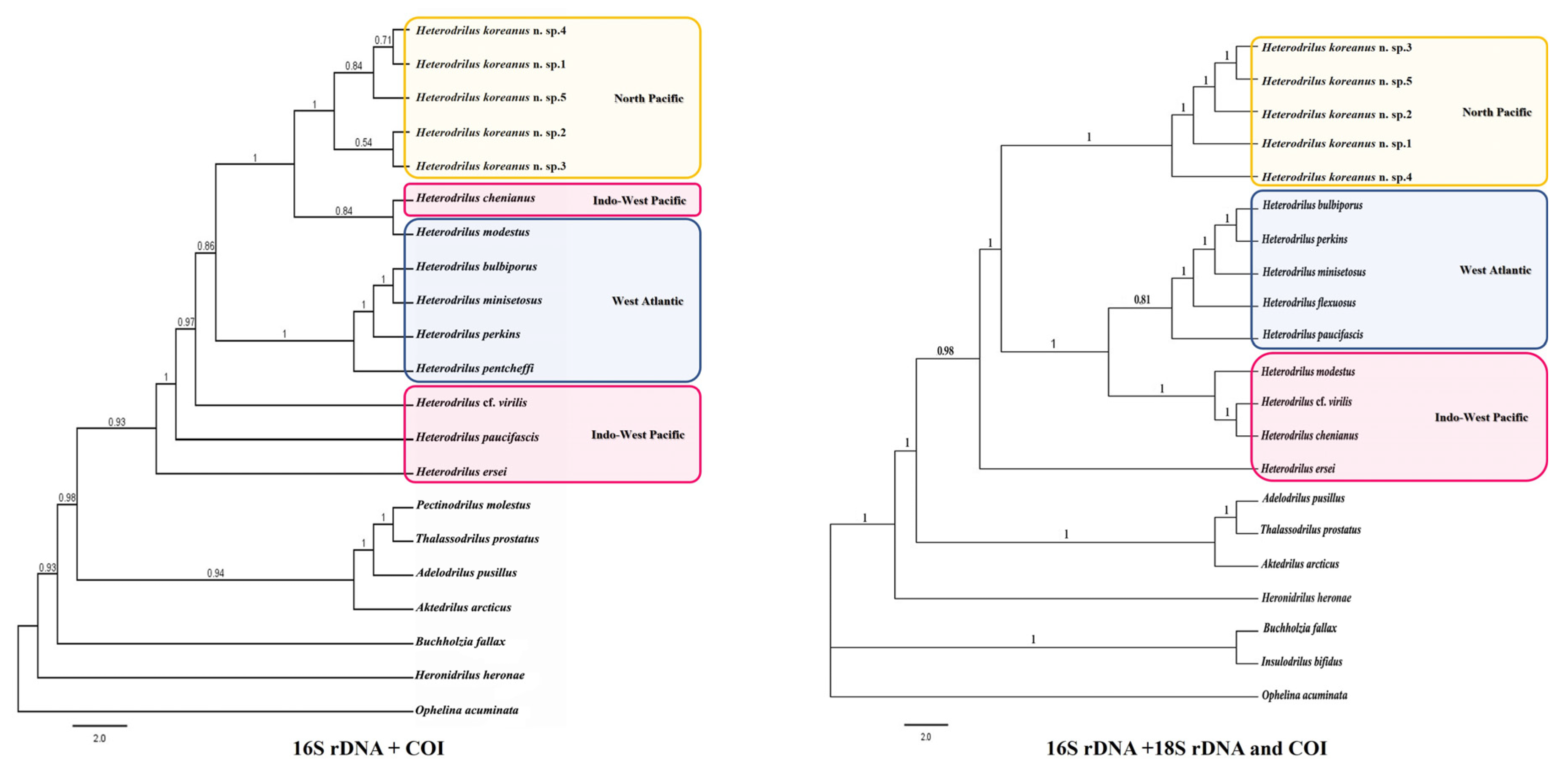 Diversity 16 00007 g008 Diversity 16 00007 g008