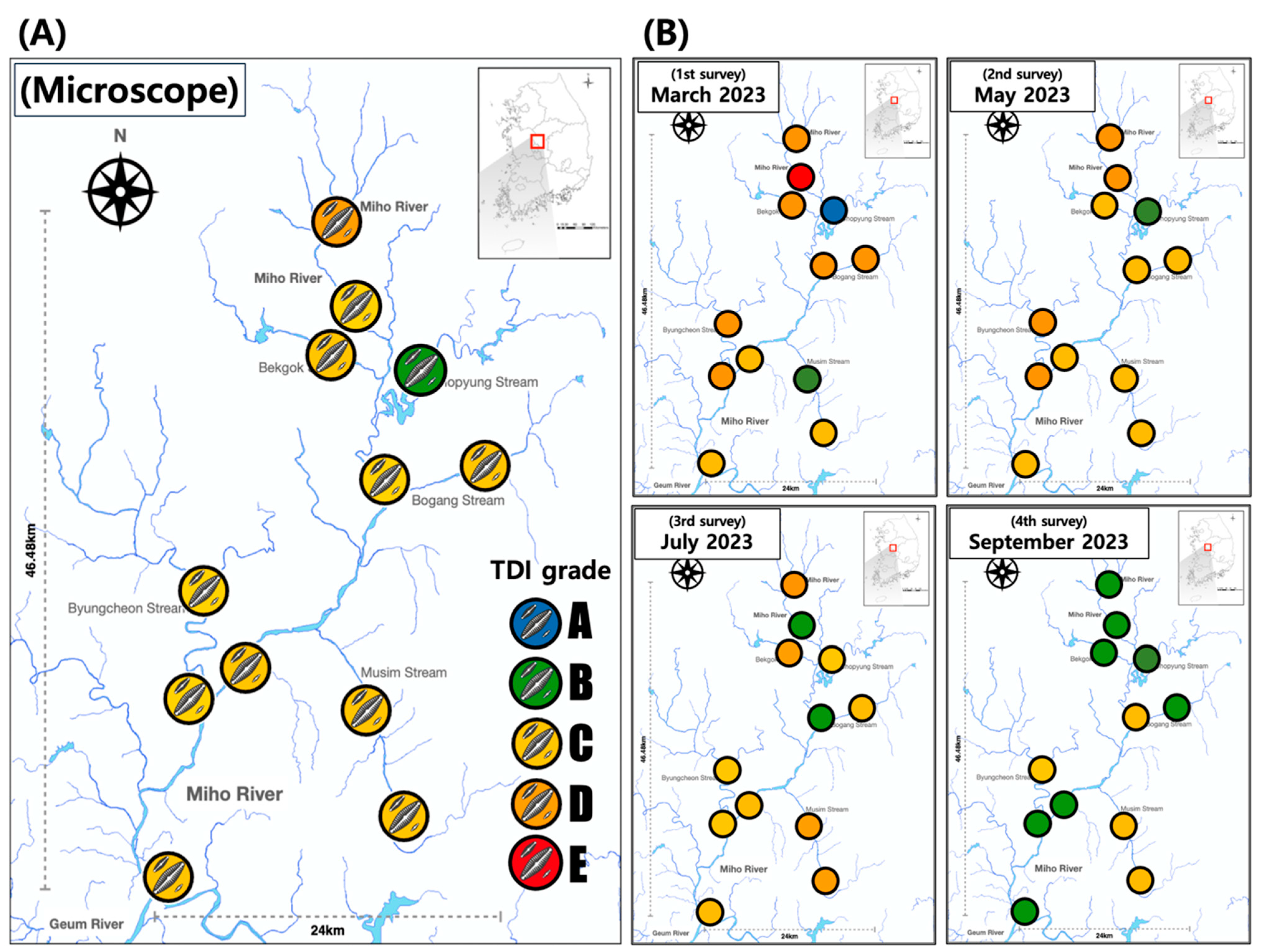 Diversity 16 00008 g003