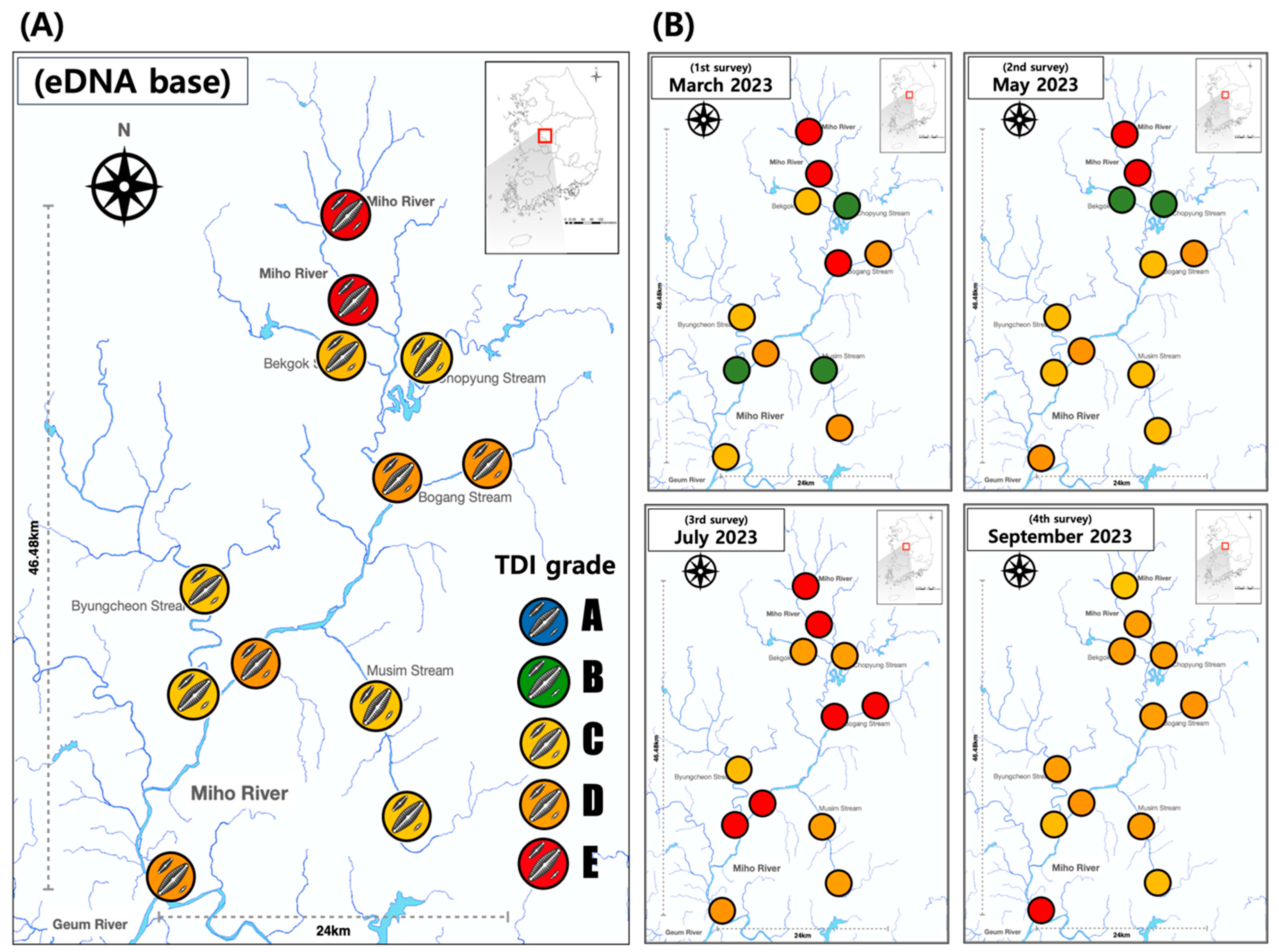 Diversity 16 00008 g004