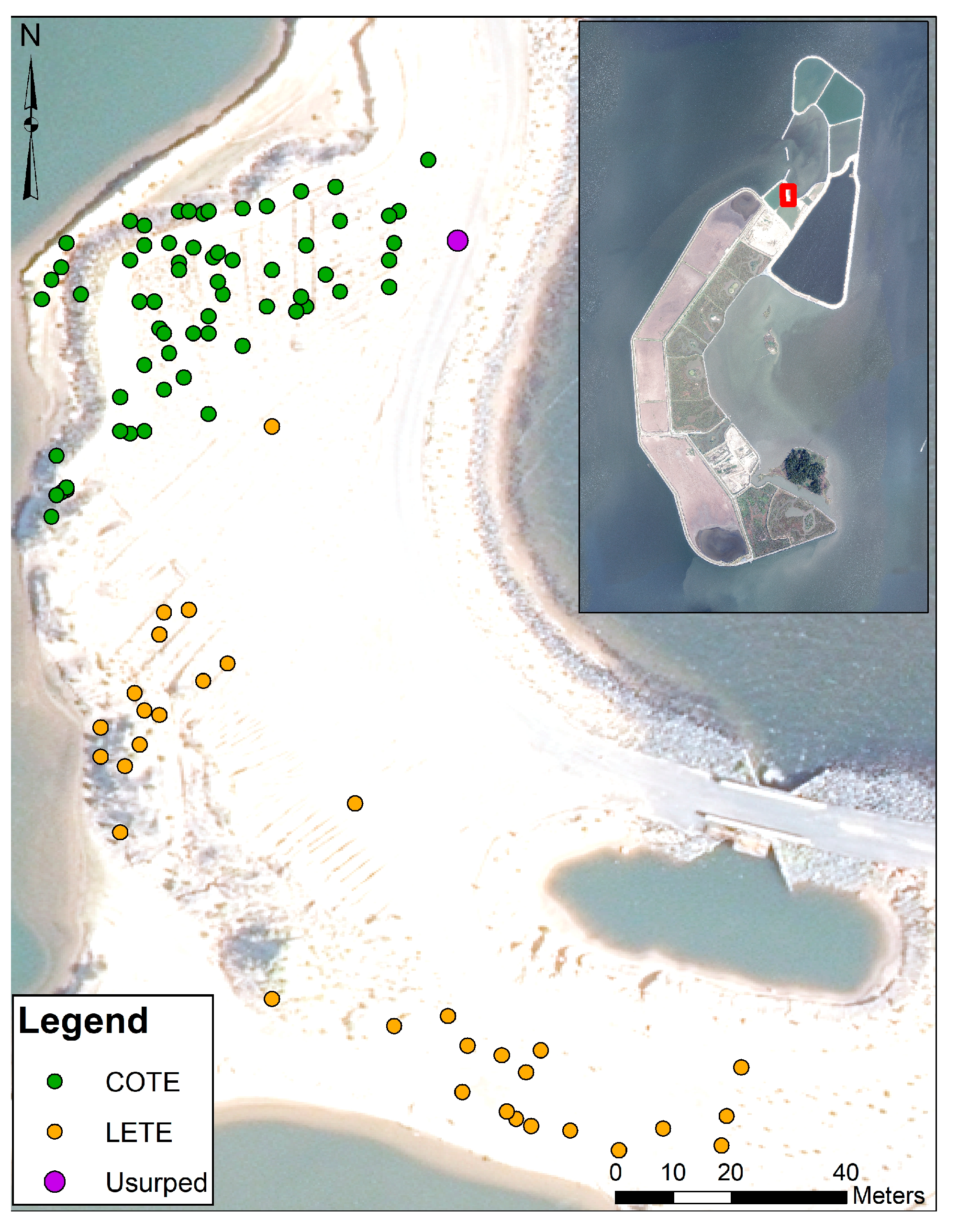 Diversity 16 00010 g001