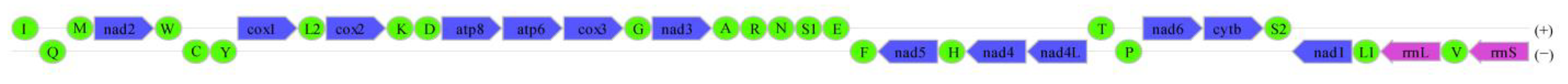 Diversity 16 00016 g004