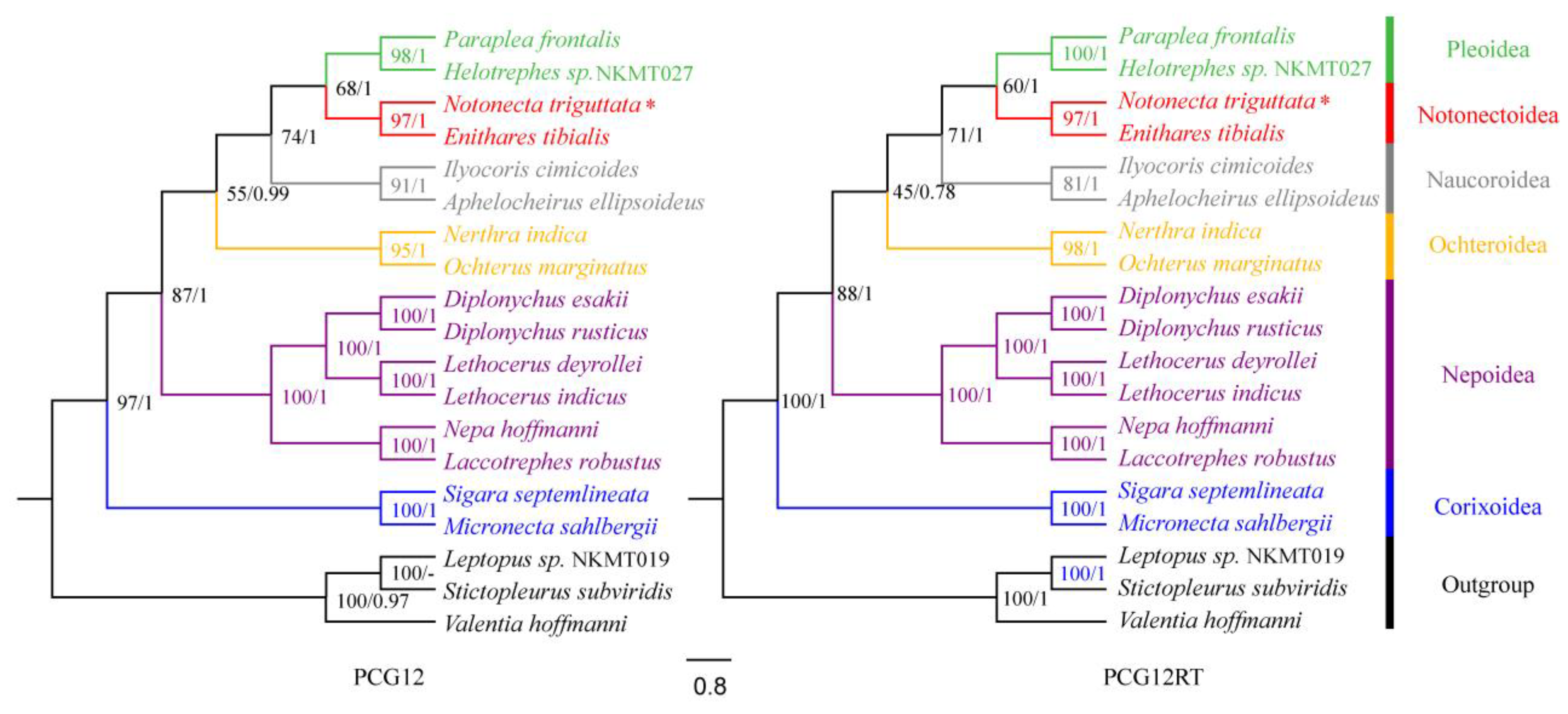 Diversity 16 00016 g005